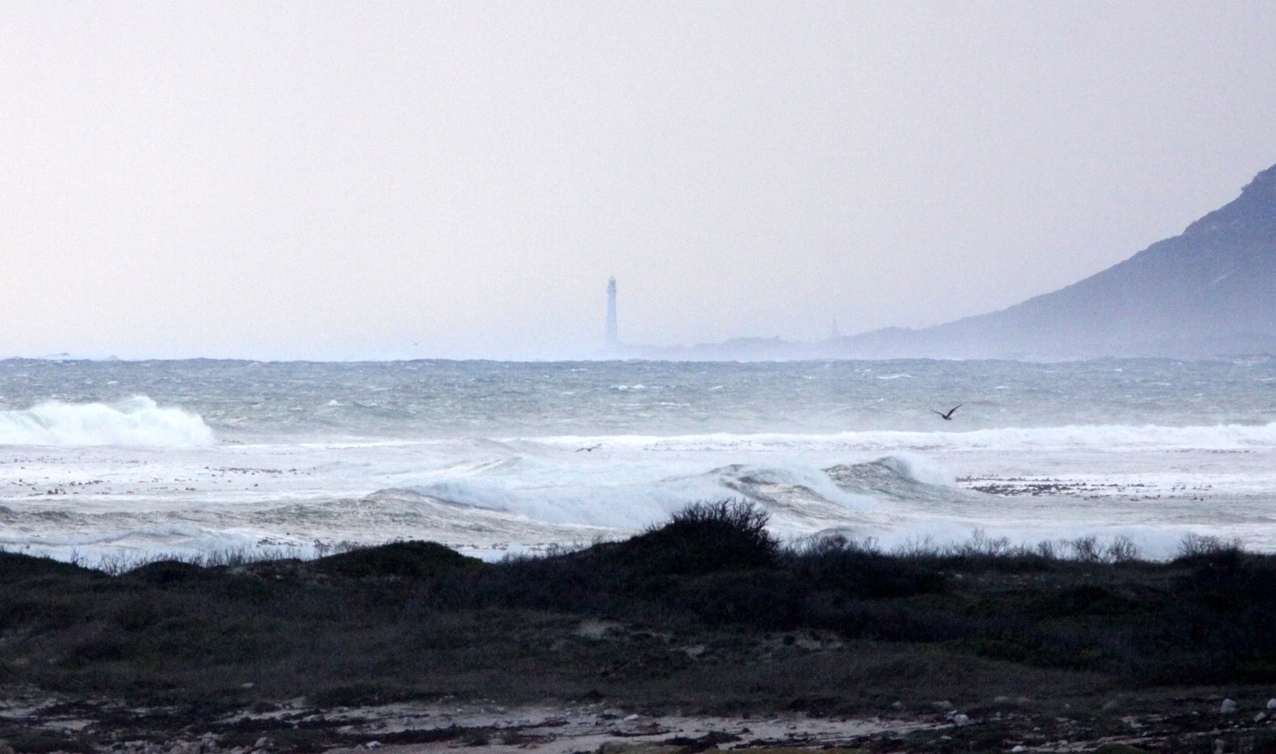 TABLE MOUNTAIN NATIONAL PARK SOUTH AFRICA - VIEW OF LIGHTHOUSE.JPG