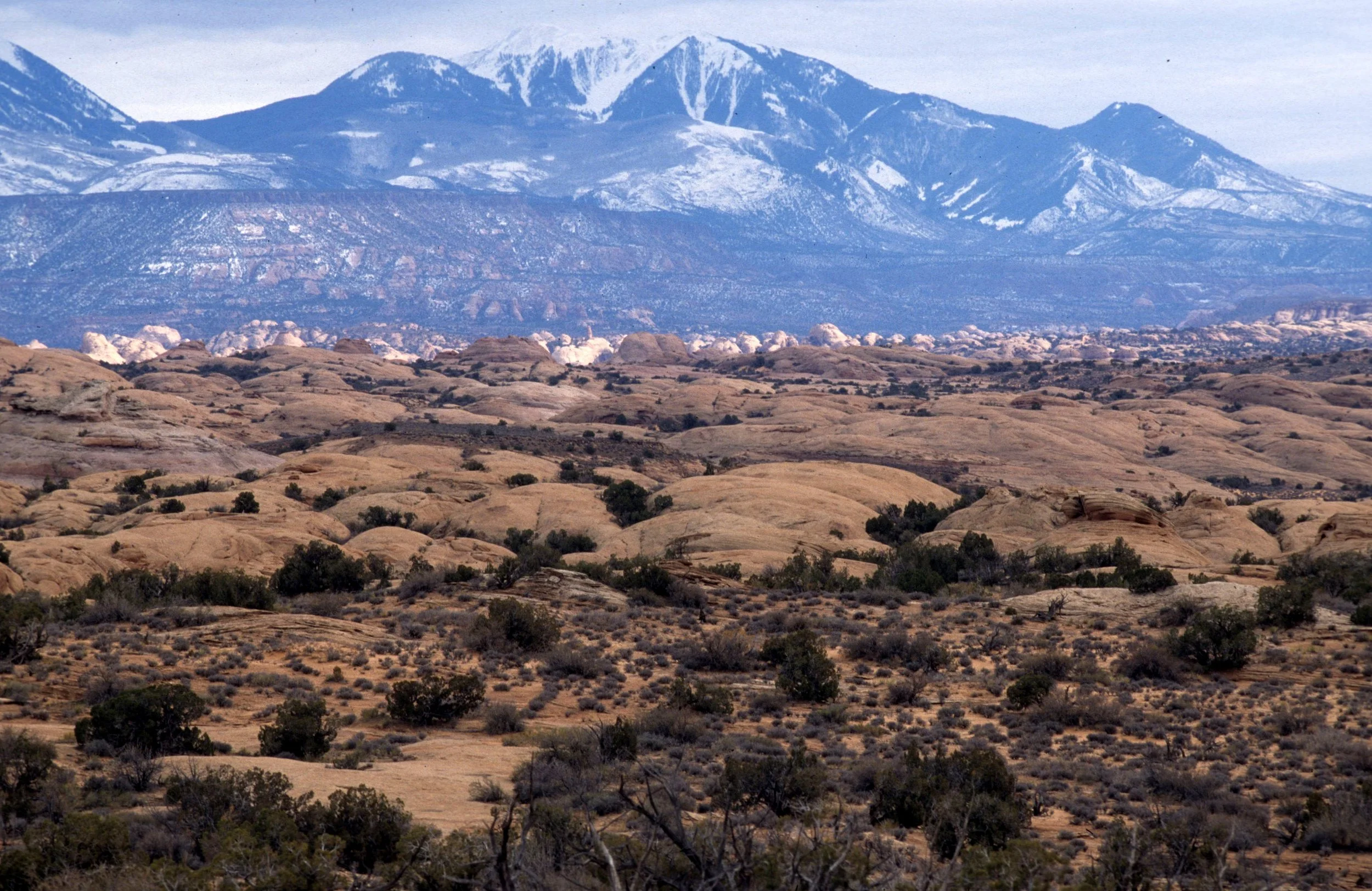 UTAH - ARCHES NP - FOSSILIZED SAND DUNES.jpg