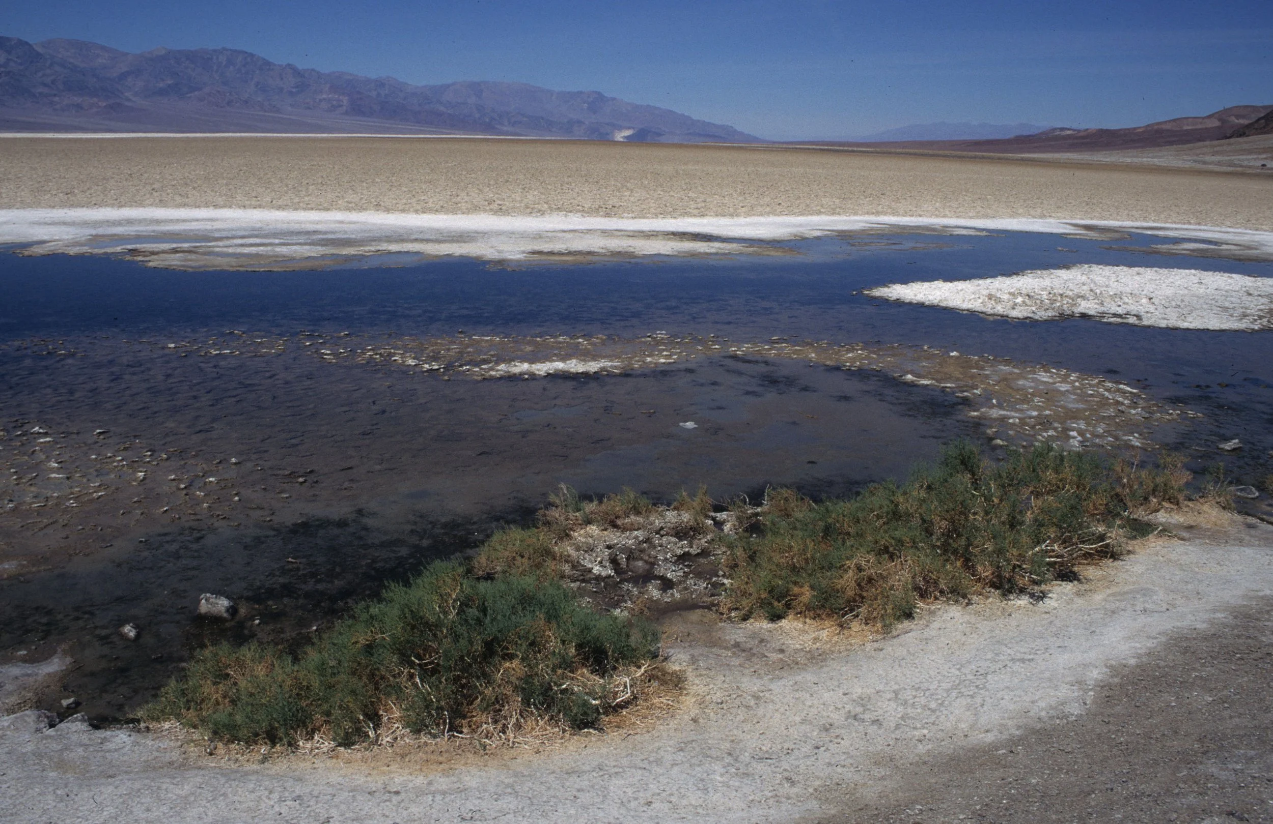 DEATH VALLEY - BADWATER - MINUS 134 FEET B.jpg