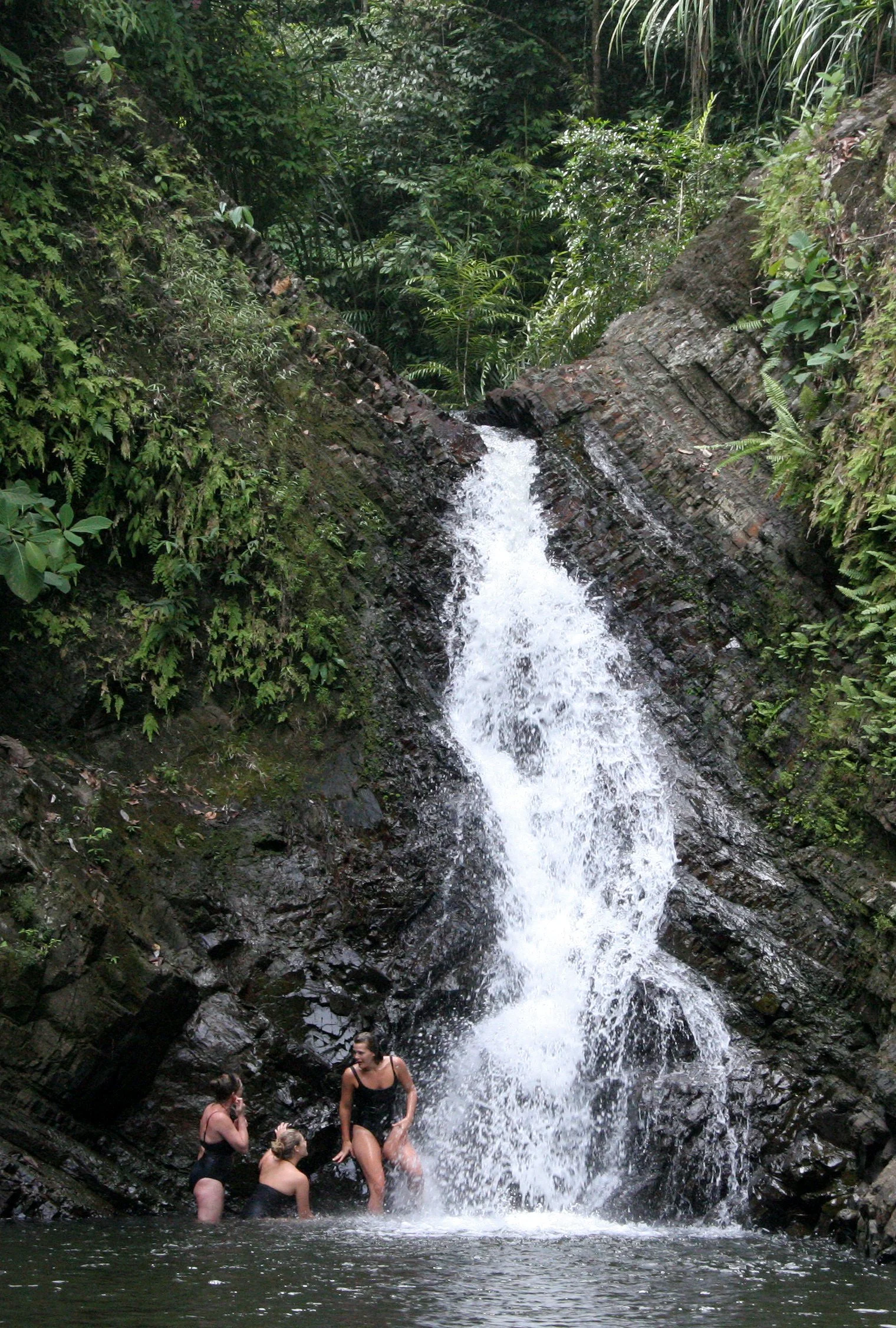 TABIN WILDLIFE RESERVE BORNEO - TABIN FALLS AND SWIMMING HOLE (11).JPG