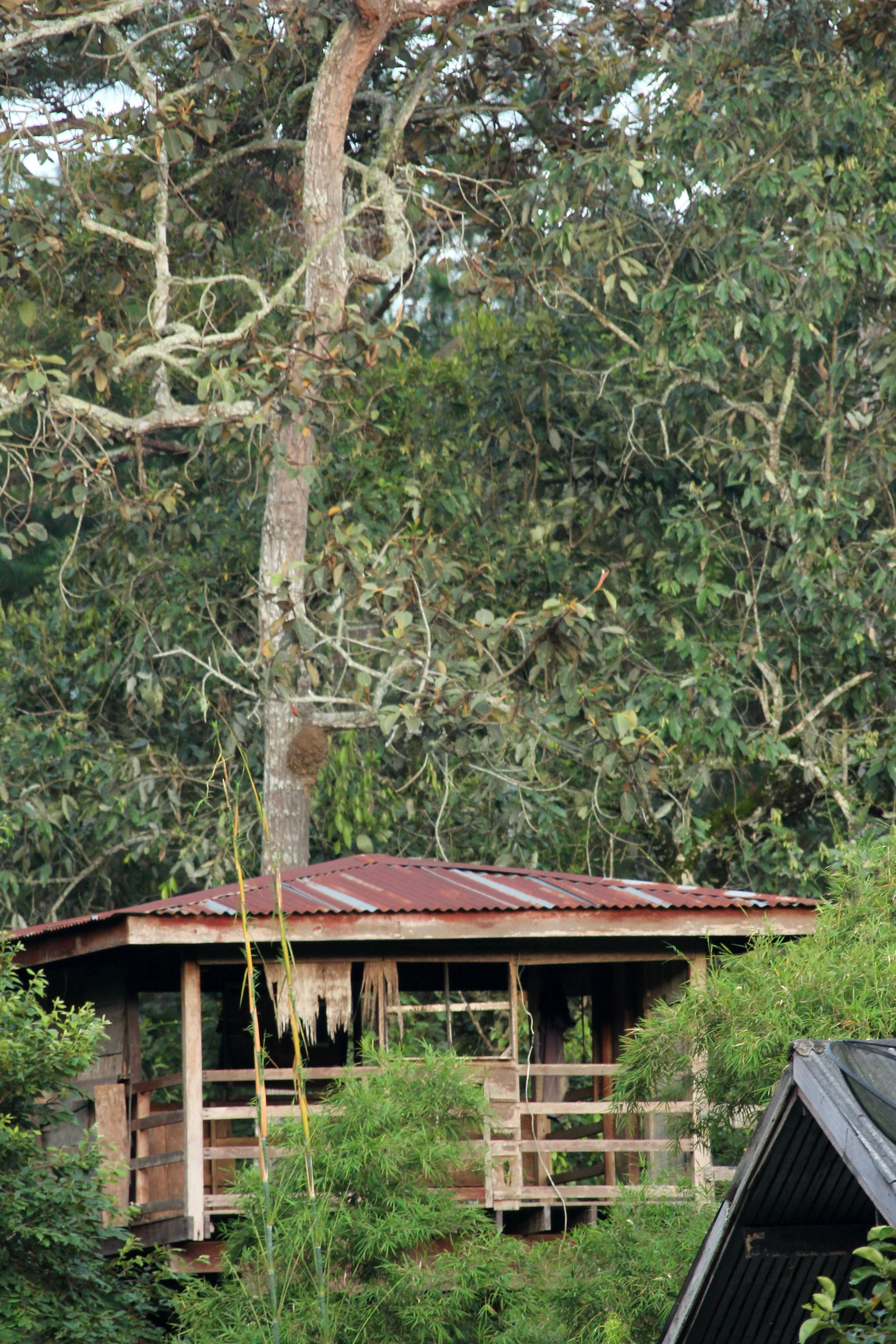 2017 Phu Khieo Wildlife Sanctuary  (7).JPG