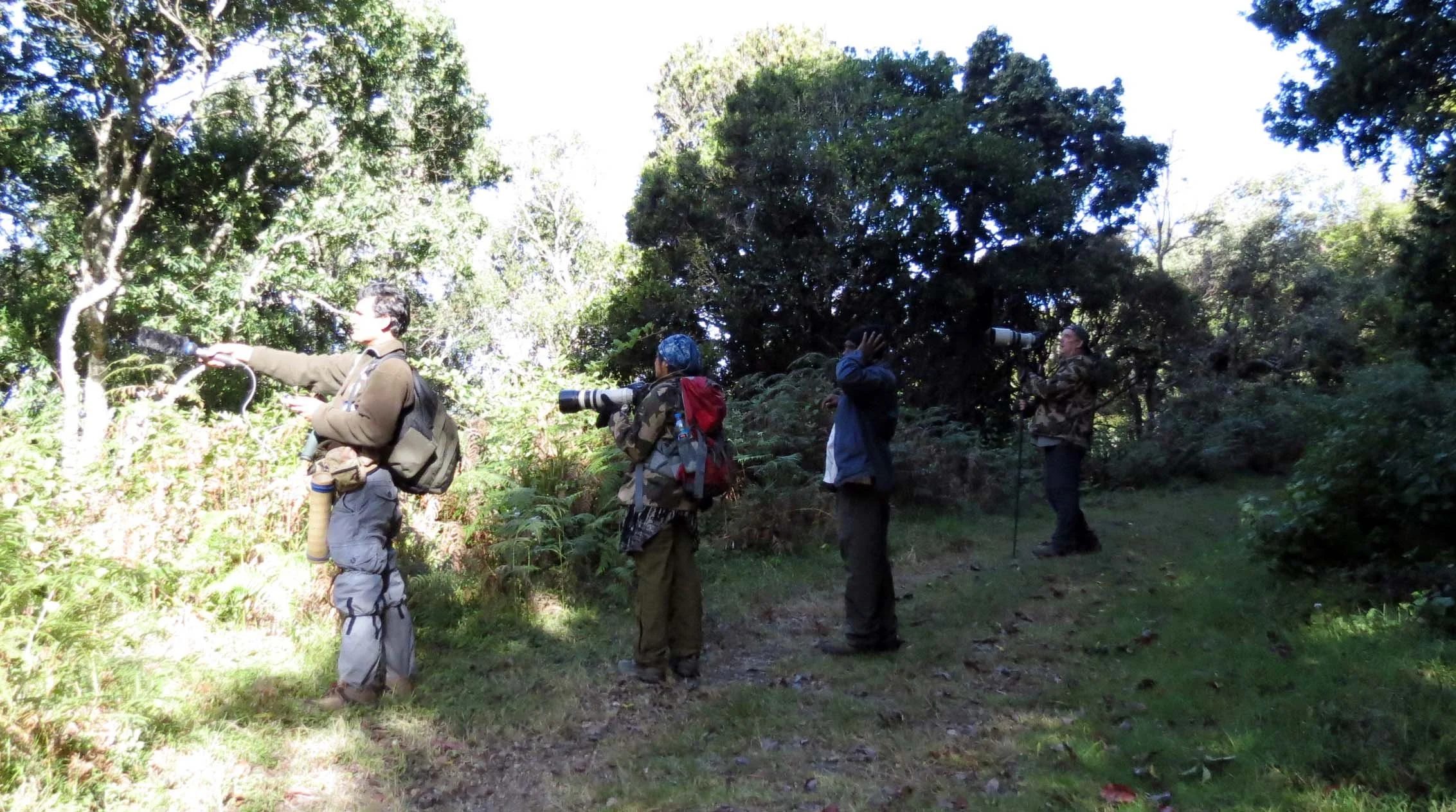 PAMPADUM SHOLA NATIONAL PARK INDIA - VATTAVADA (35).JPG