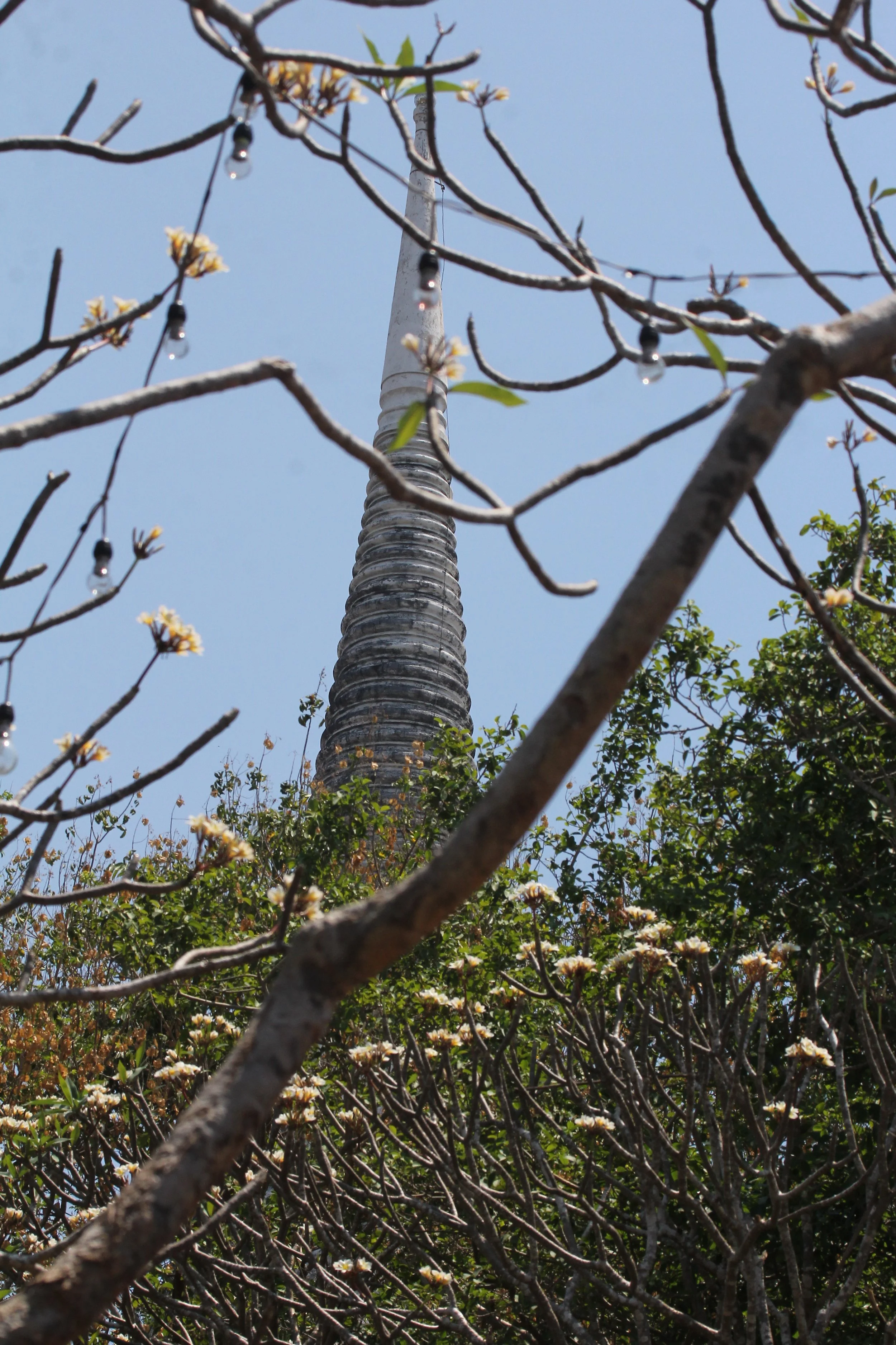2020 - Petchaburi Temple (132).JPG