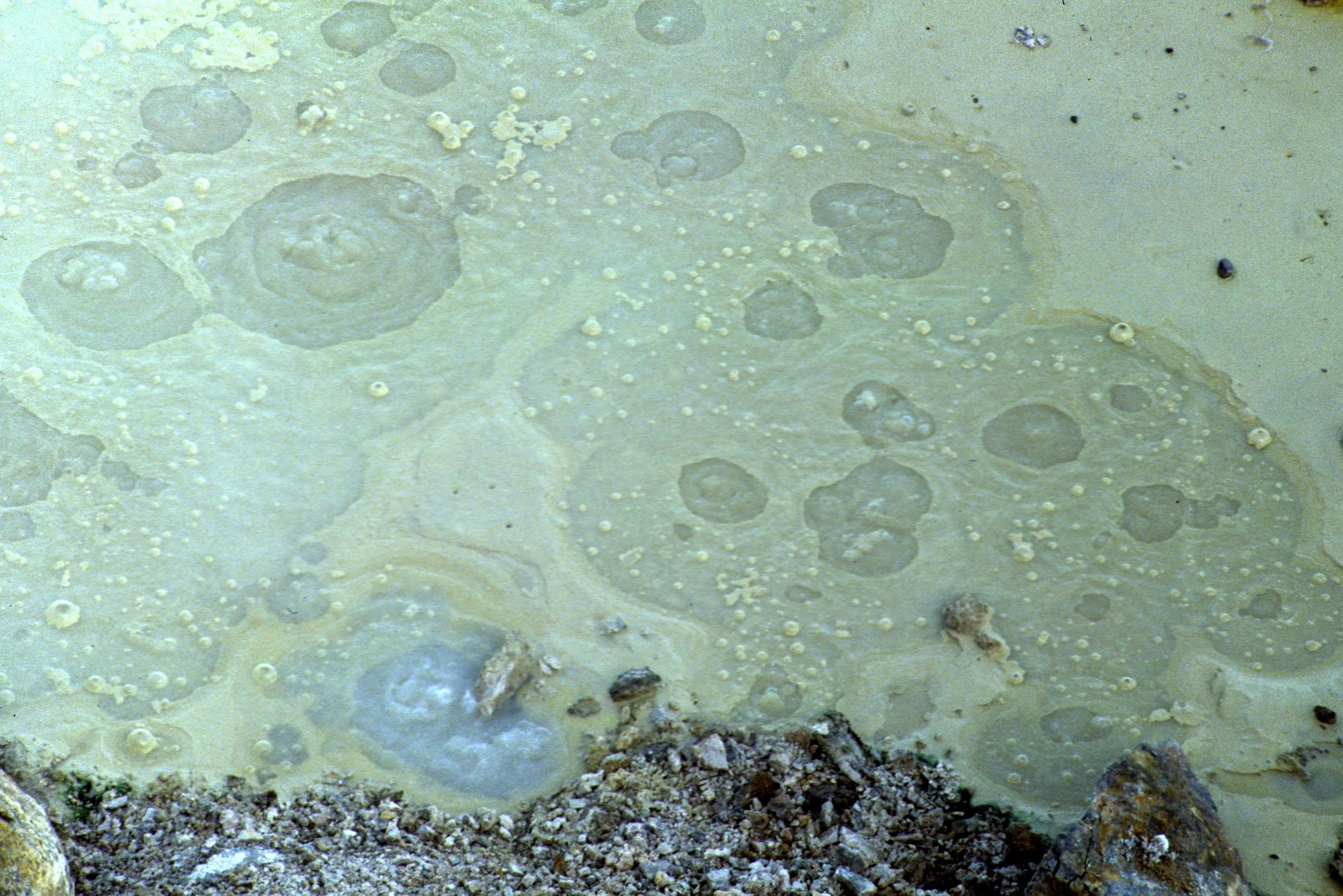 YELLOWSTONE IN WINTER - MUDPOTS A.jpg