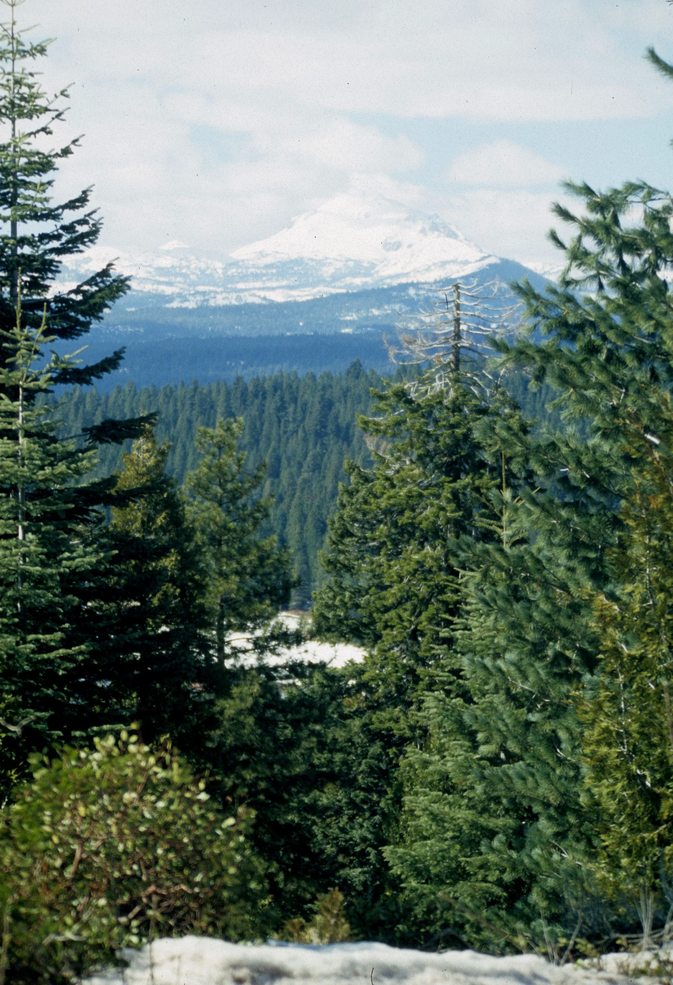 CALIFORNIA - LASSEN NP.jpg