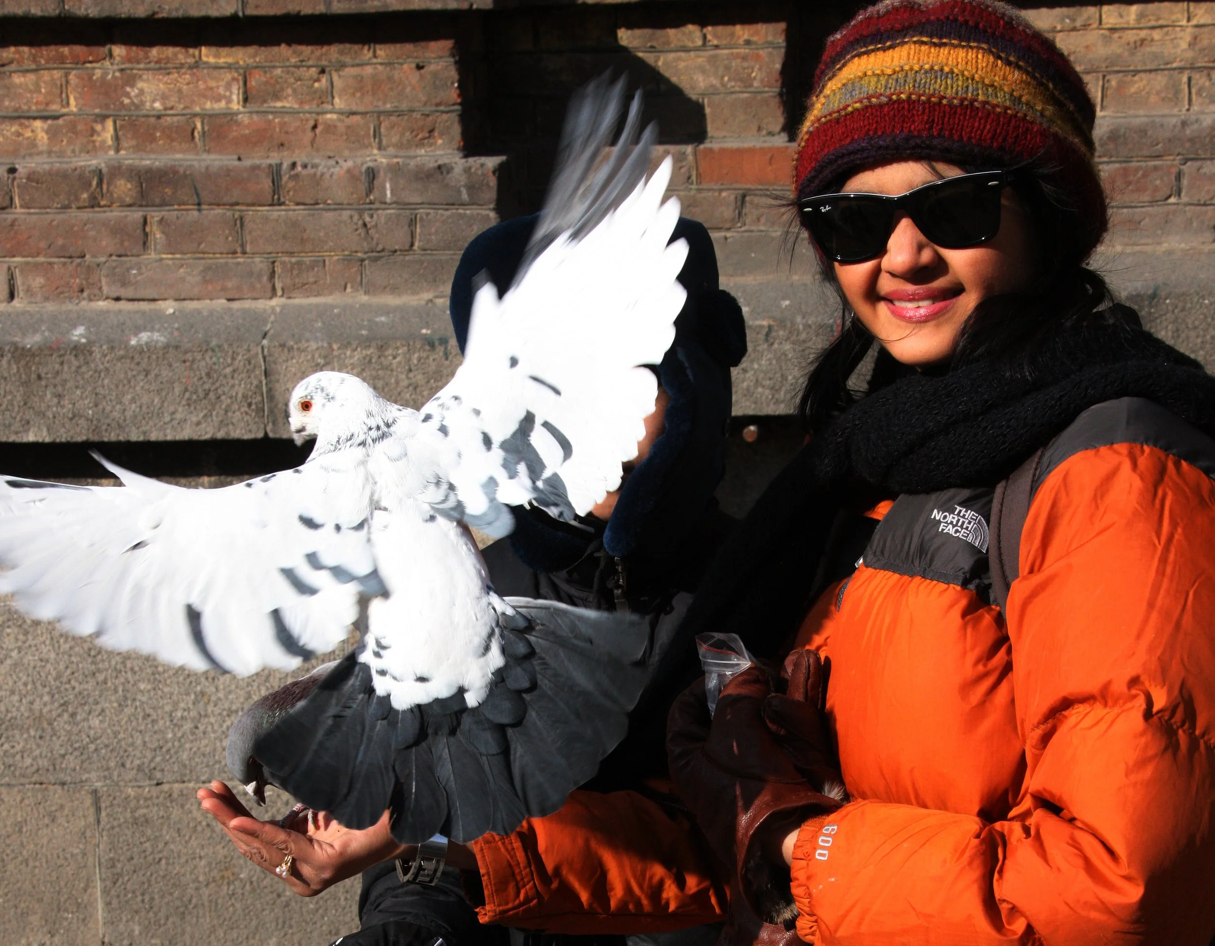 BIRD - PIGEON - HARBIN SAINT SOPHIA'S CATHEDRAL CHINA (18).JPG