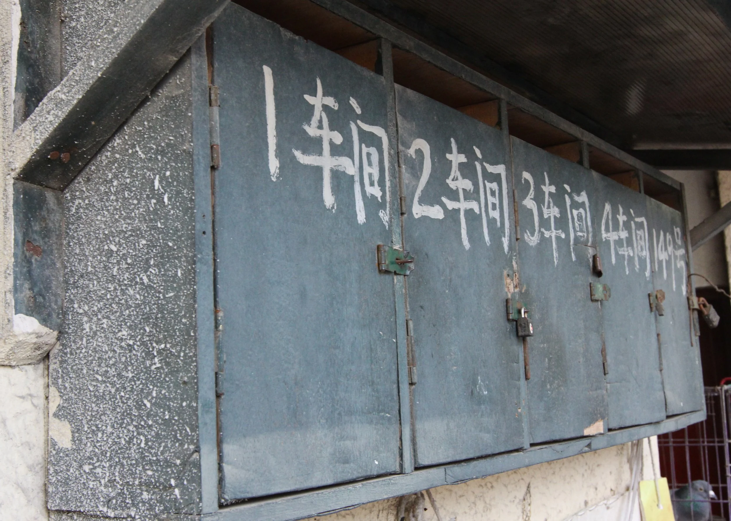 XINLE LU - SHANGHAI (37).JPG