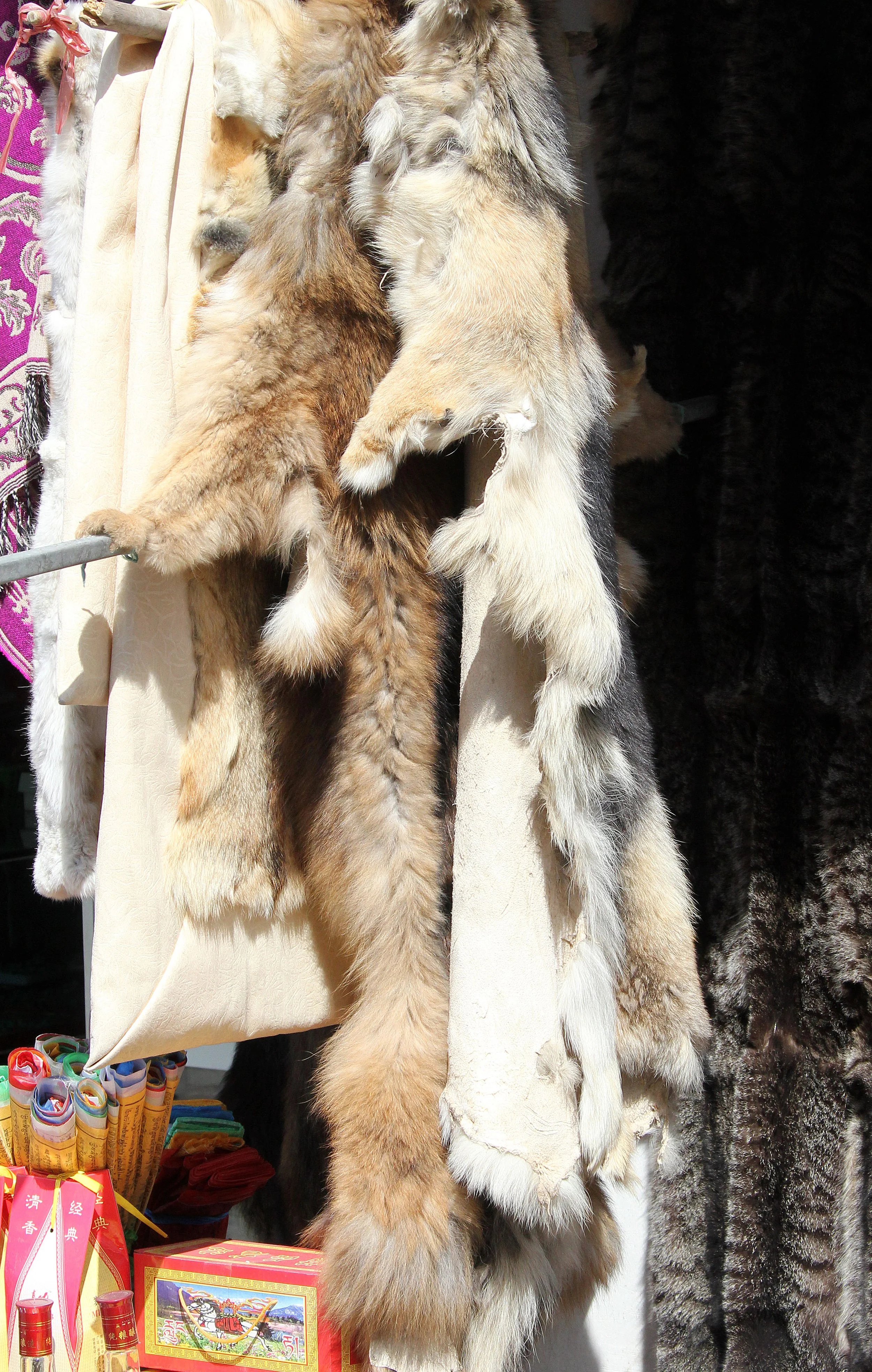 KUNBUM TIBETAN TEMPLE - XINING QINGHAI CHINA (43).JPG