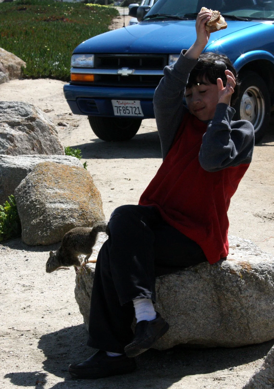 2010-3-31 ELKHORN SLOUGH & MONTEREY CALIFORNIA - ROADTRIP 2010 (12).JPG