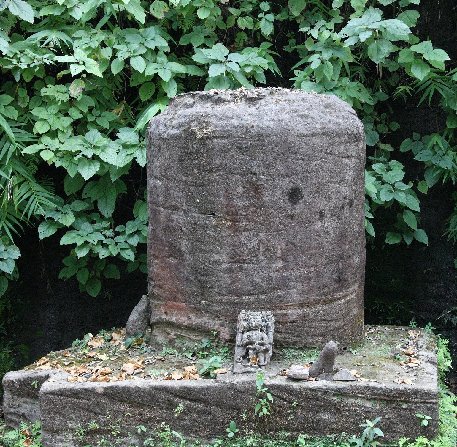 MADHYA PRADESH - BANDHAVGAR NATIONAL PARK MADHYA PRADESH INDIA (22).JPG