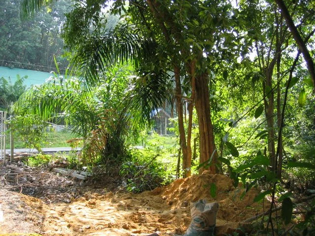 KOH LANTA - PROPERTY - 2005 (72).jpg