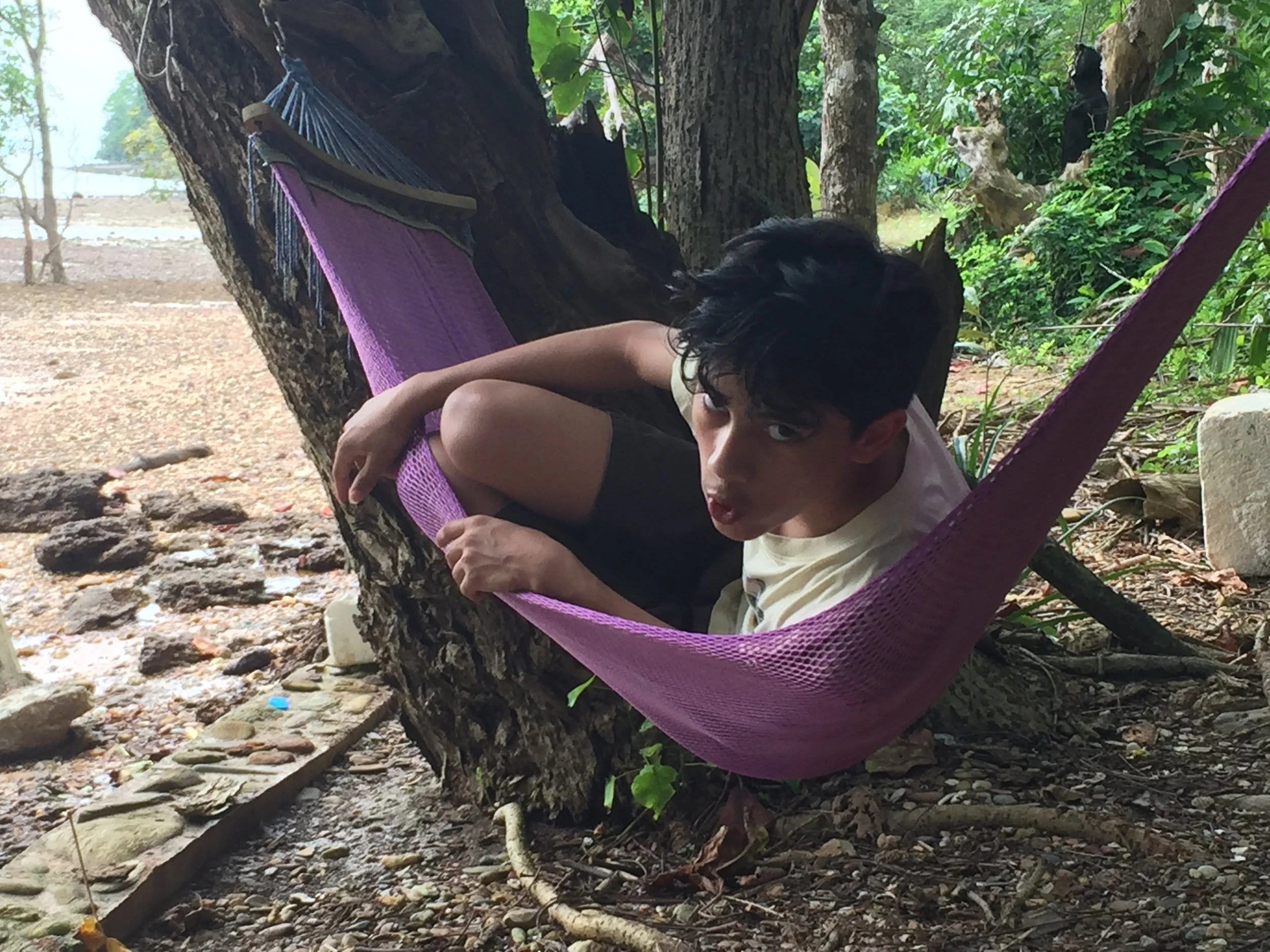 2015 Koh Lanta Garden & Nature (277).JPG