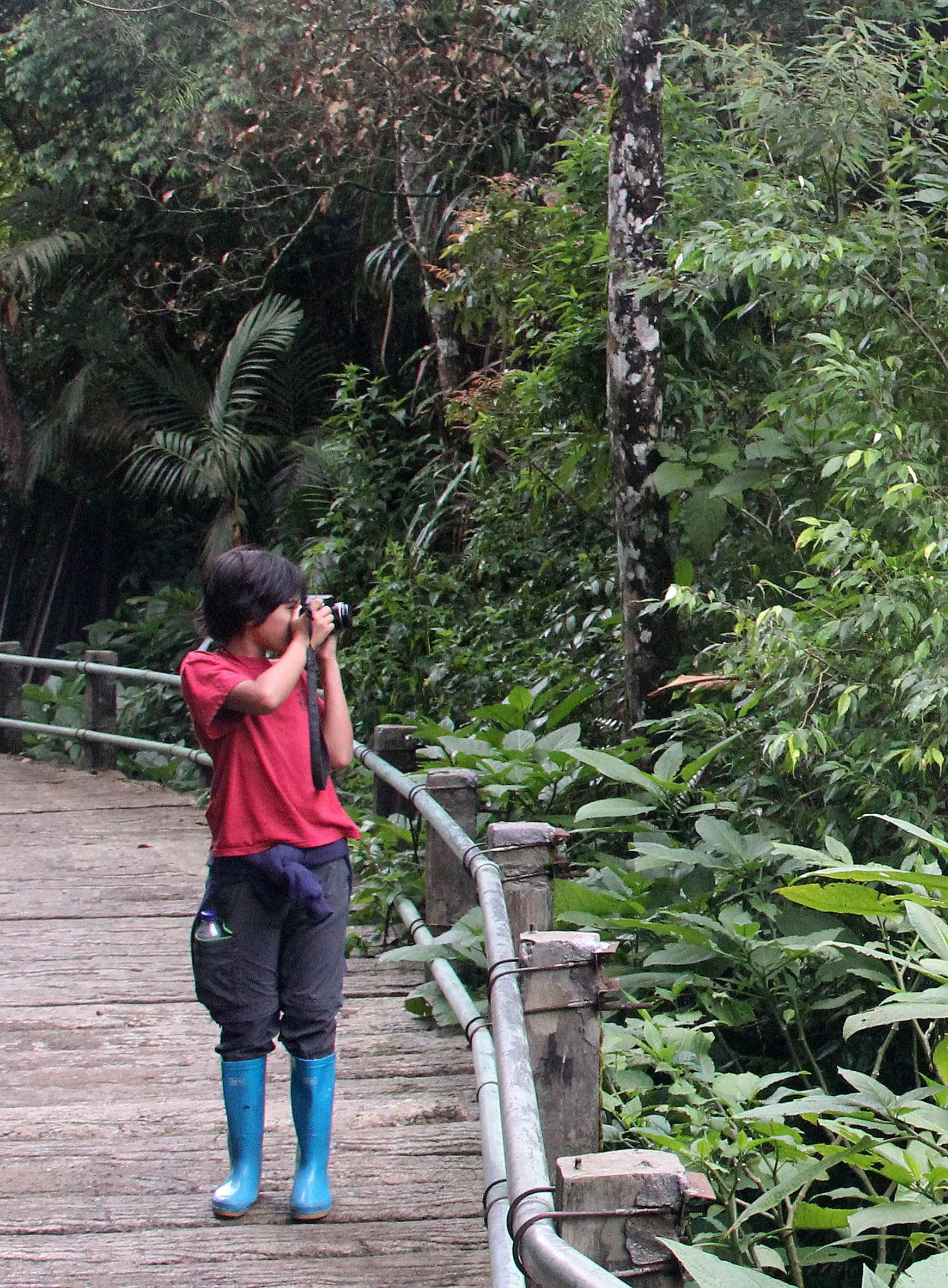 GEDE NATIONAL PARK - JAVA BARAT INDONESIA (4).JPG
