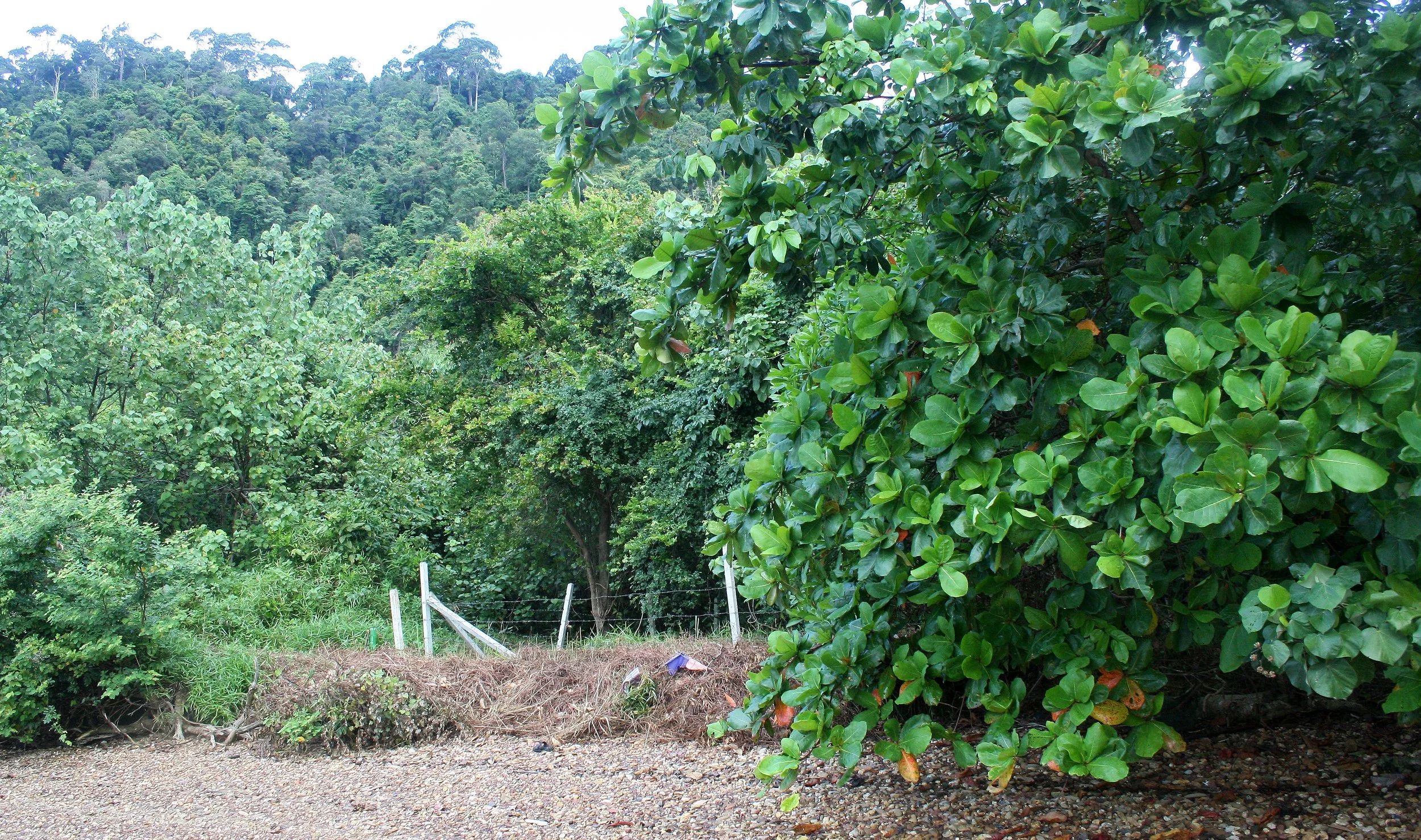 KOH LANTA - 2008 - VIEWS OF AND FROM THE PROPERTY (23).JPG