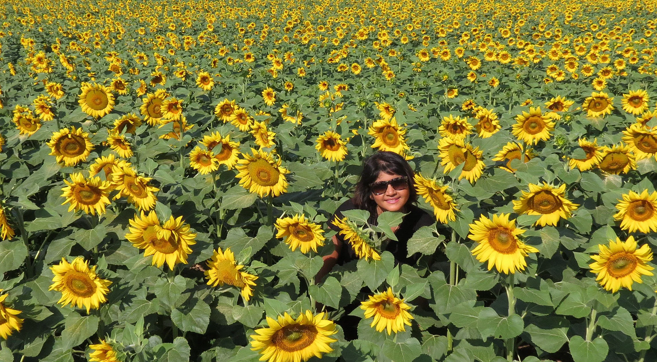 VERCOR NATIONAL PARK FRANCE (27).JPG