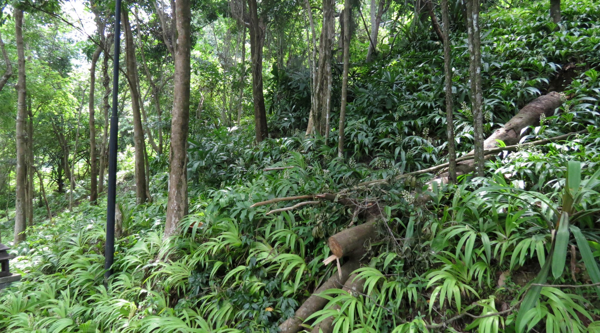 2014 Koh Lanta Build (66).JPG