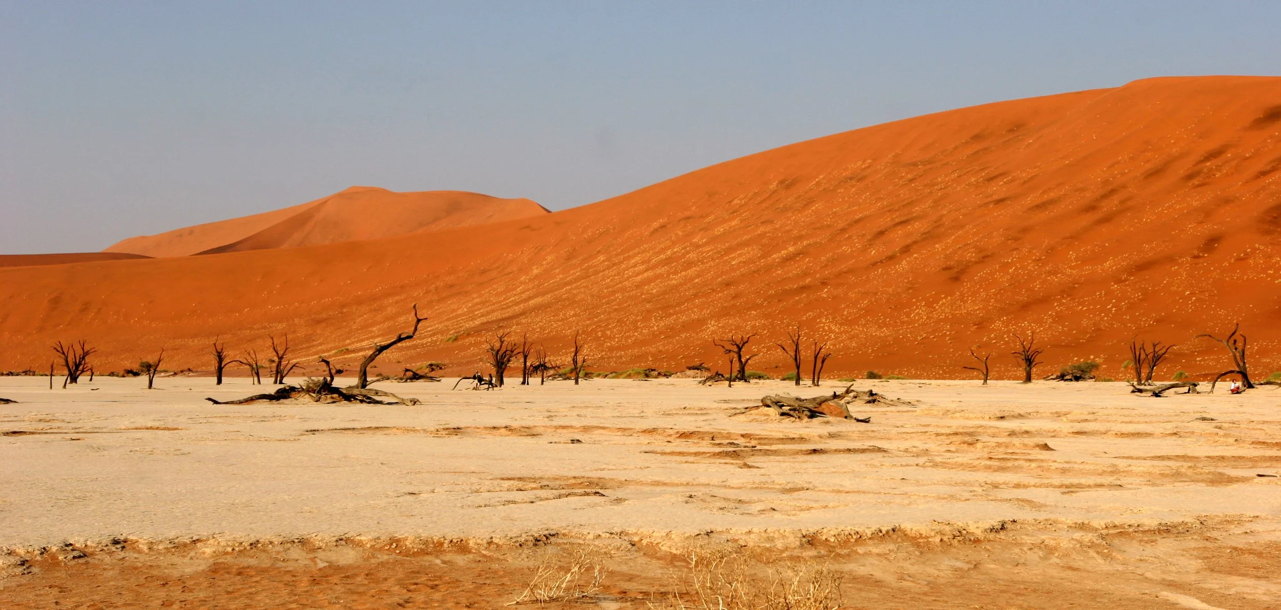 NAMIBIA - SOSSUSVLEI - DEAD VLEI - NAMIBIA (10).JPG
