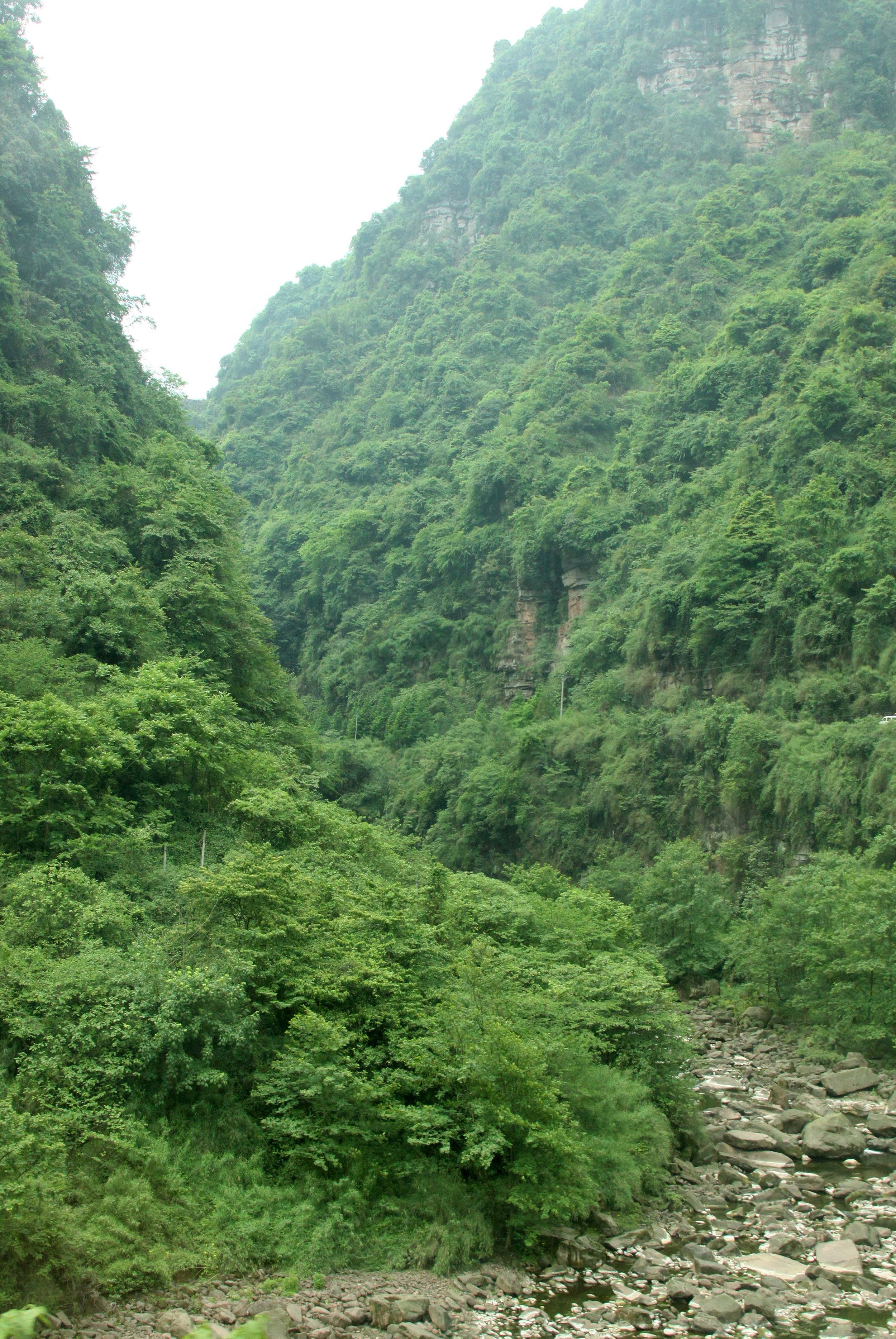 BIFENGXIA GORGE - SICHUAN CHINA (6).JPG