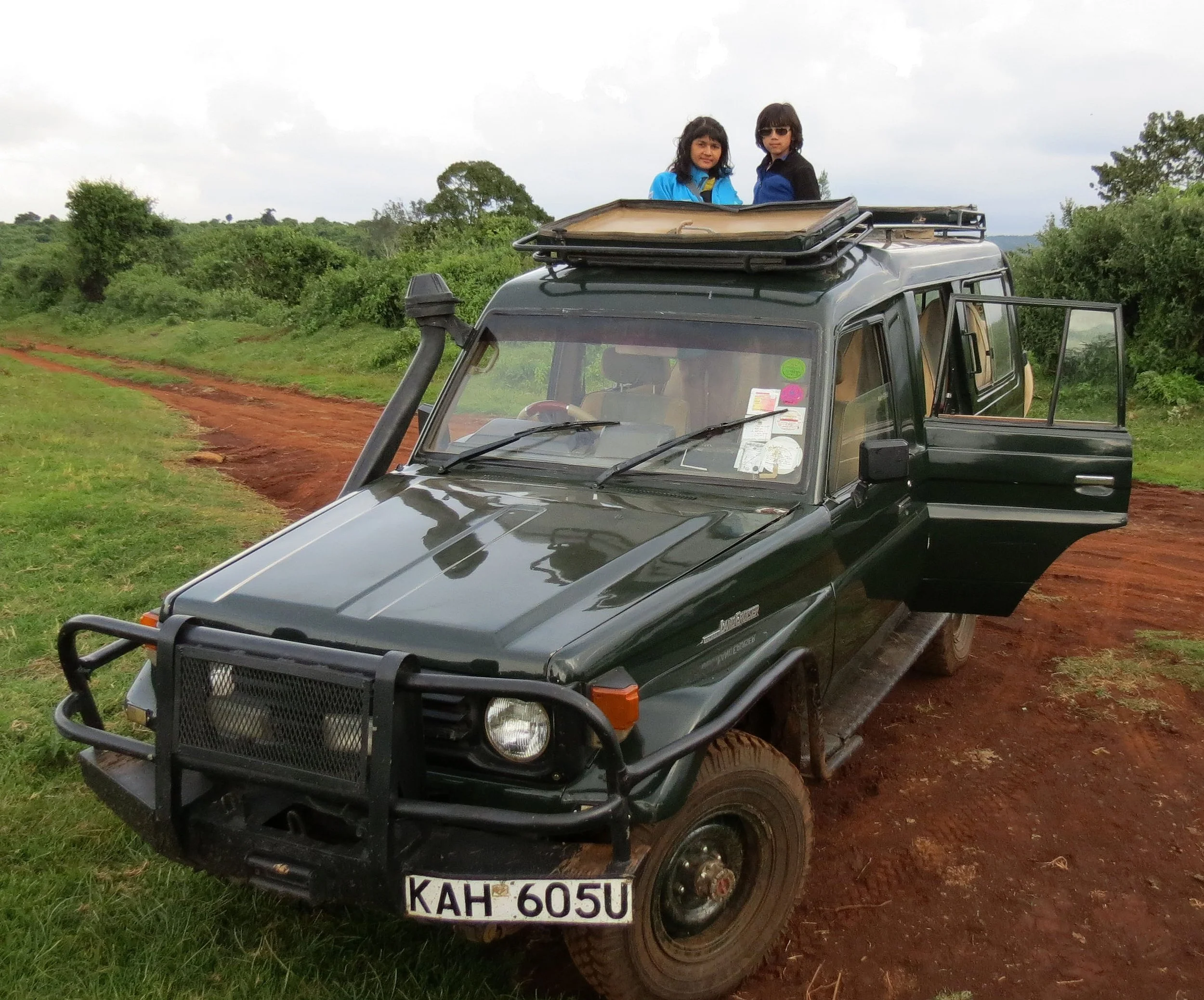 Treetops Lodge