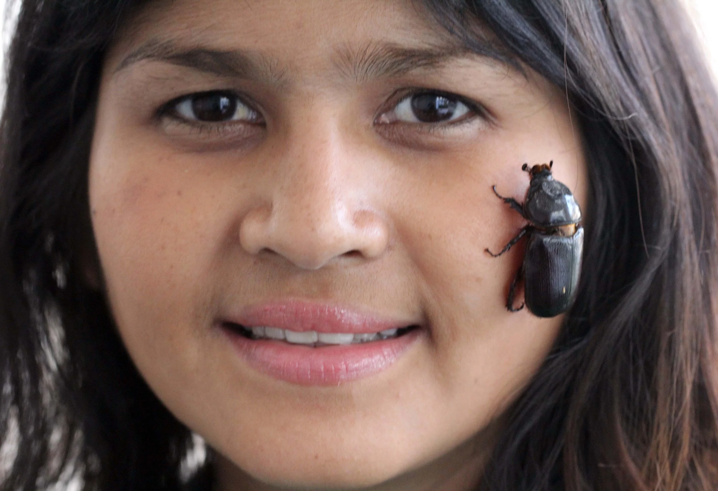 2013 - BANGKOK - NOVEMBER 2013 - MARCH 2014 (223).JPG