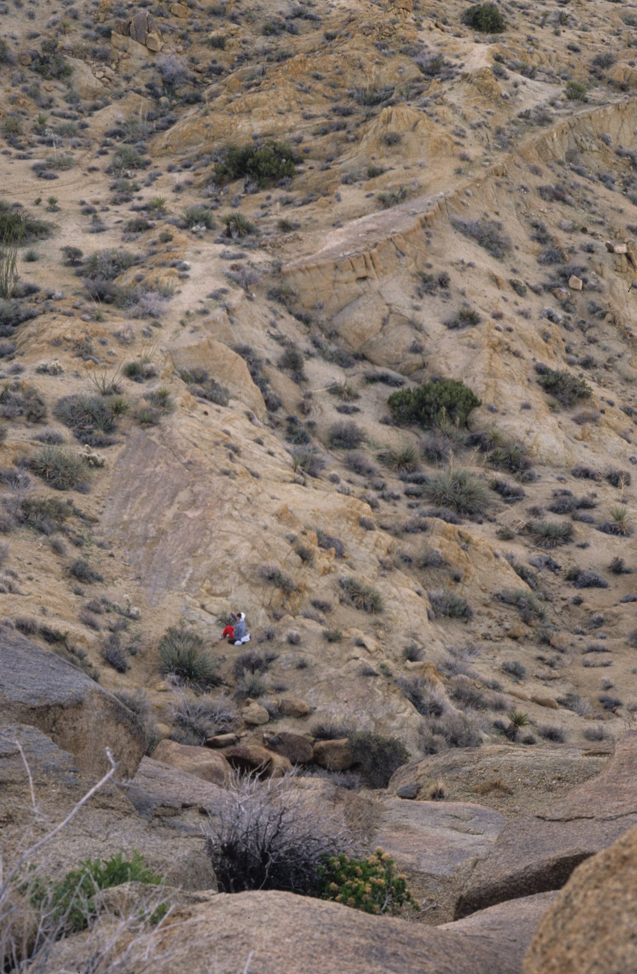 ANZA BORREGO - DESERT VIEW.jpg