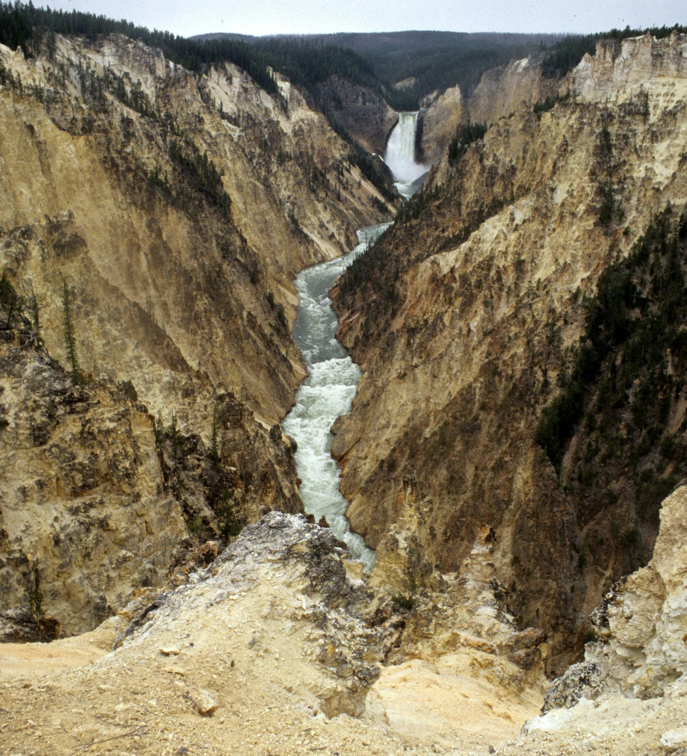 YELLOWSTONE - CANYON VIEW J.jpg