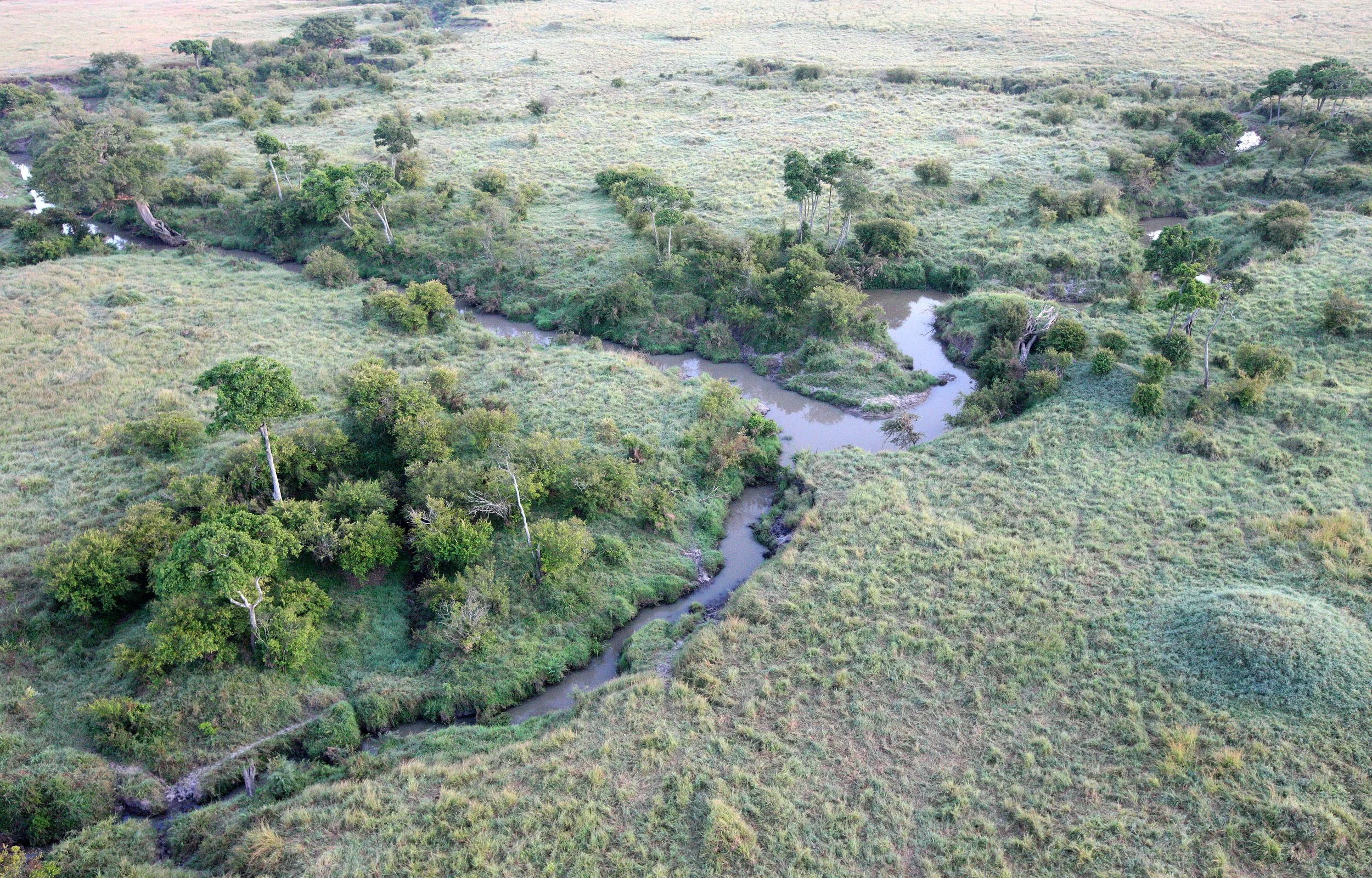 MASAI MARA NATIONAL PARK KENYA (99).JPG