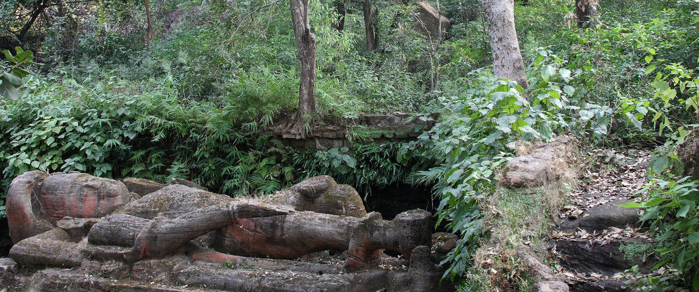 MADHYA PRADESH - BANDHAVGAR NATIONAL PARK MADHYA PRADESH INDIA (25).JPG