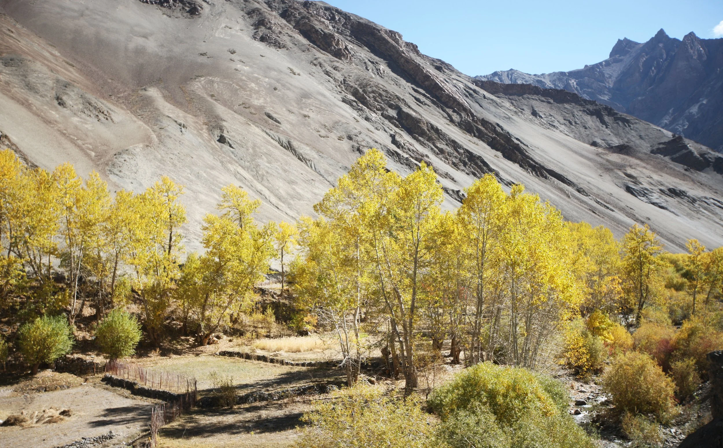 HEMIS NATIONAL PARK - LADAKH INDIA - JAMMU & KASHMIR NEAR RUMBAK VILLAGE (401).JPG