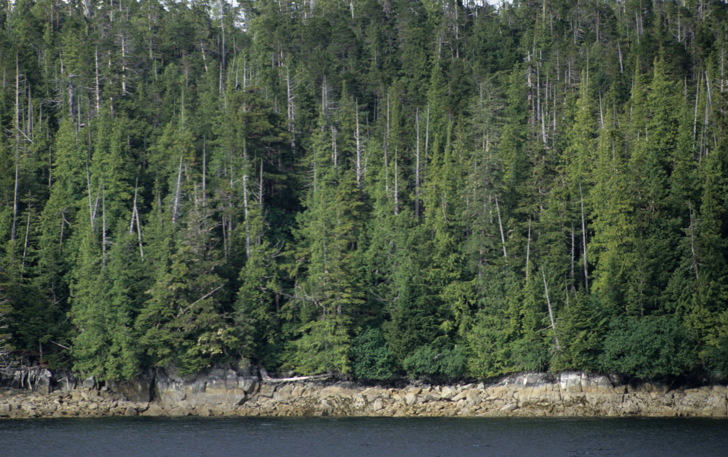ALASKA - INSIDE PASSAGE D.jpg