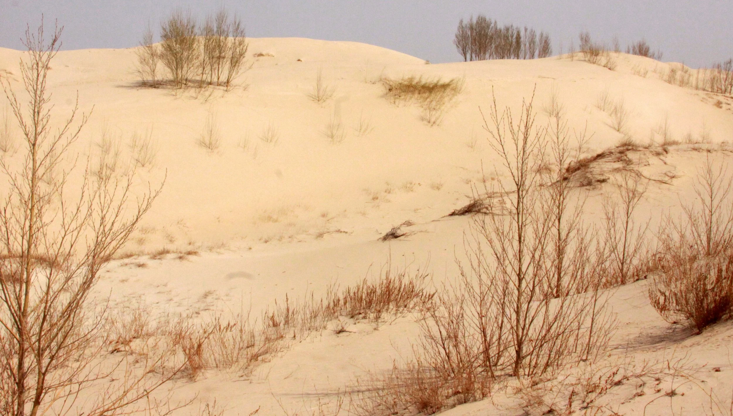 KULUN QI INNER MONGOLIA CHINA - DUNES (8).JPG