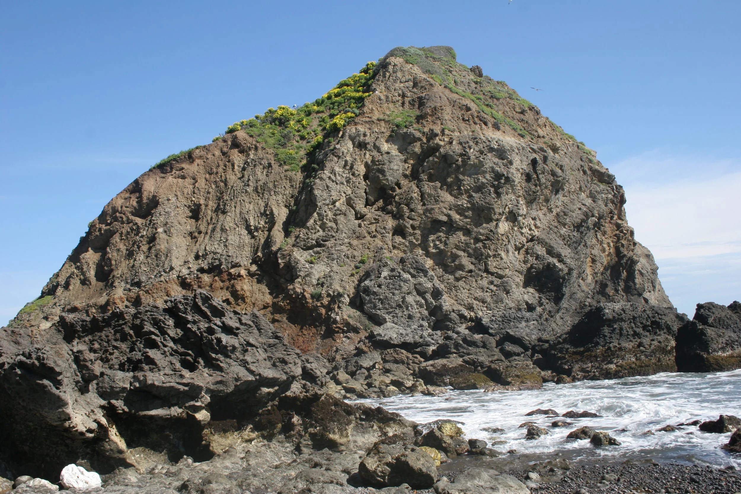 CALIFORNIA - CHANNEL ISLANDS NP - ANACAPA ISLAND - GEOLOGY (2).jpg