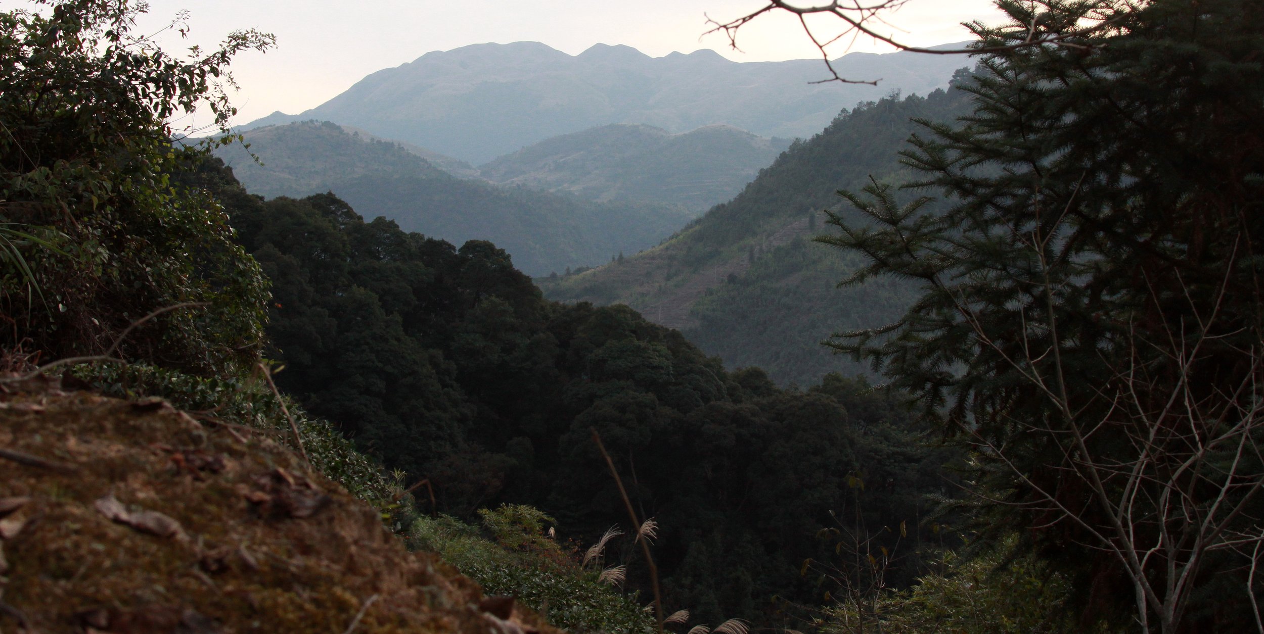 TEA PLANTATION TREK - FUJIAN CHINA - YUCHANGLOU REGION (2).JPG