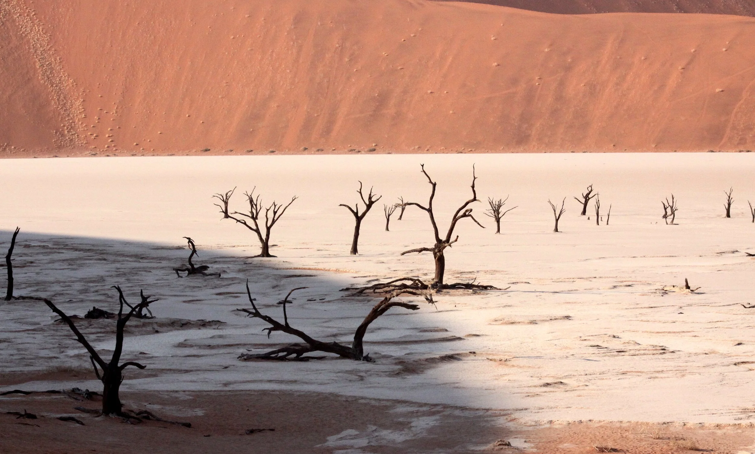 SOSSUSVLEI, NAMIB NAUKLUFT NATIONAL PARK, NAMIBIA - DEAD VLEI.JPG
