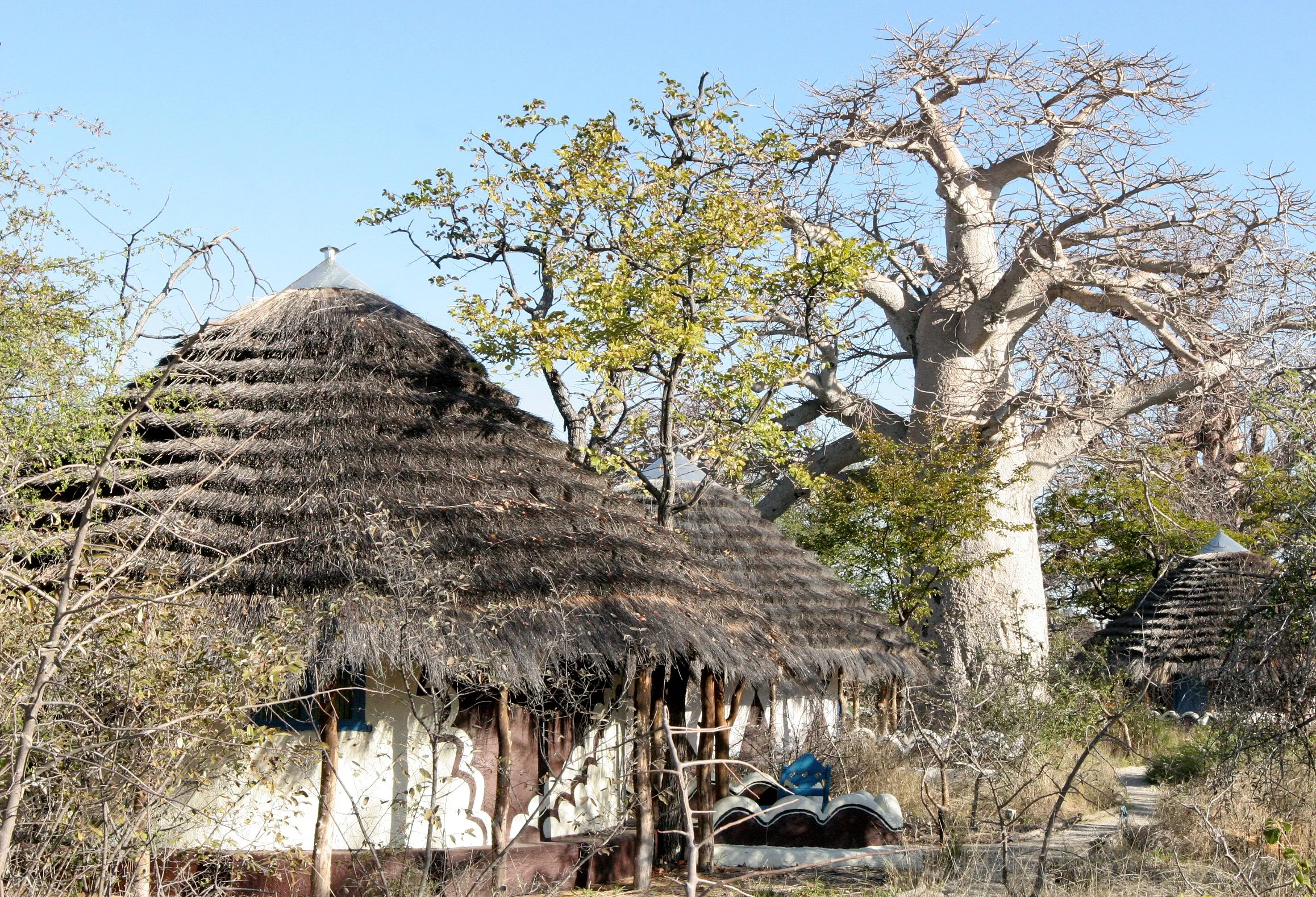 BOTSWANA - CAMPING IN PLANET BAOBAB (3).JPG