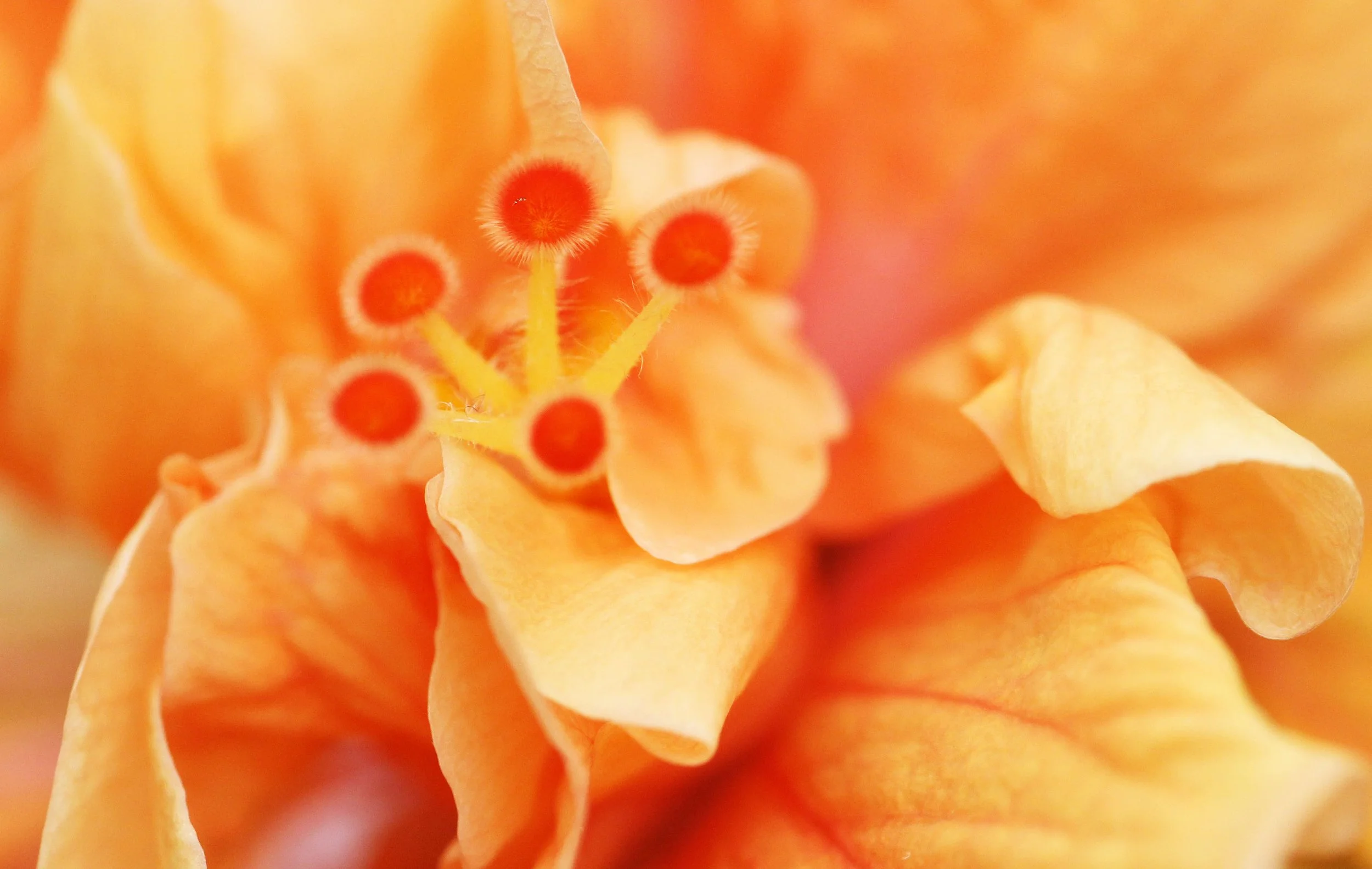 2013 Cha'am and Petchaburi with Family & Friends (34).JPG