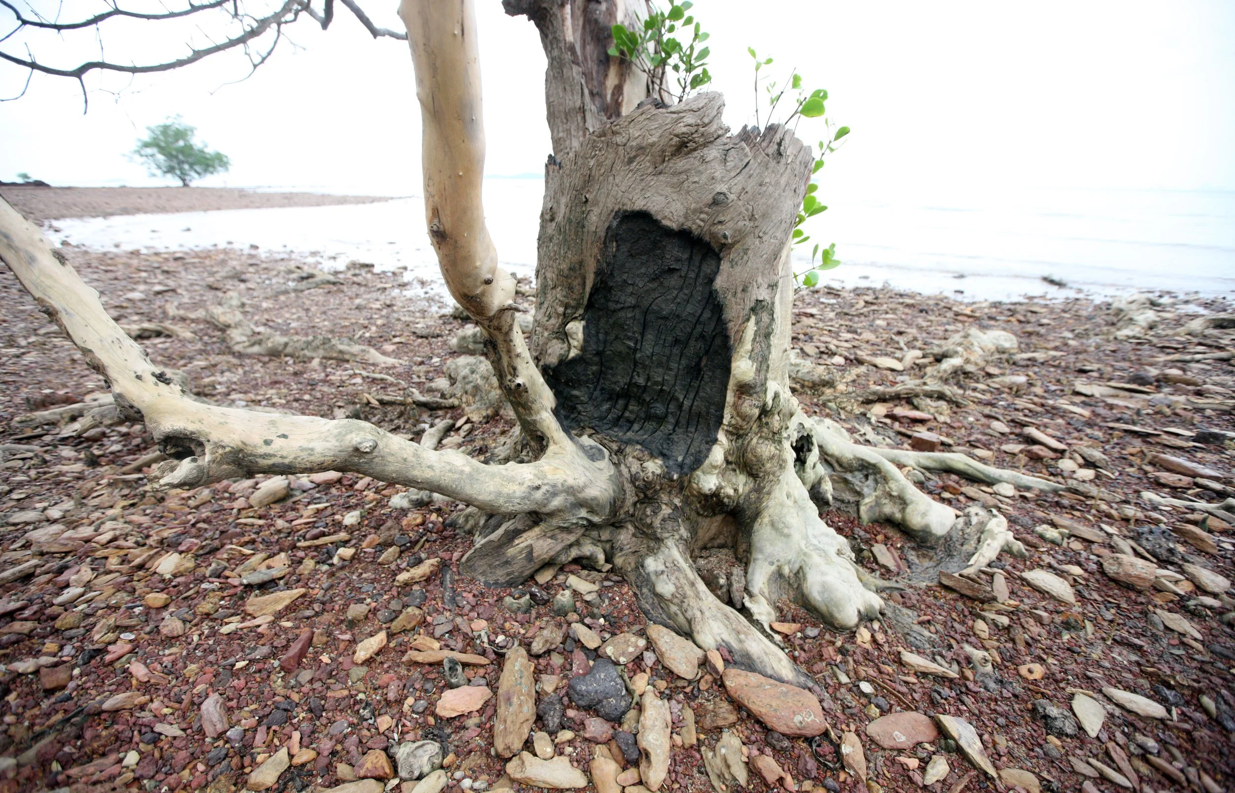 2015 Koh Lanta Songkran Break (3).JPG