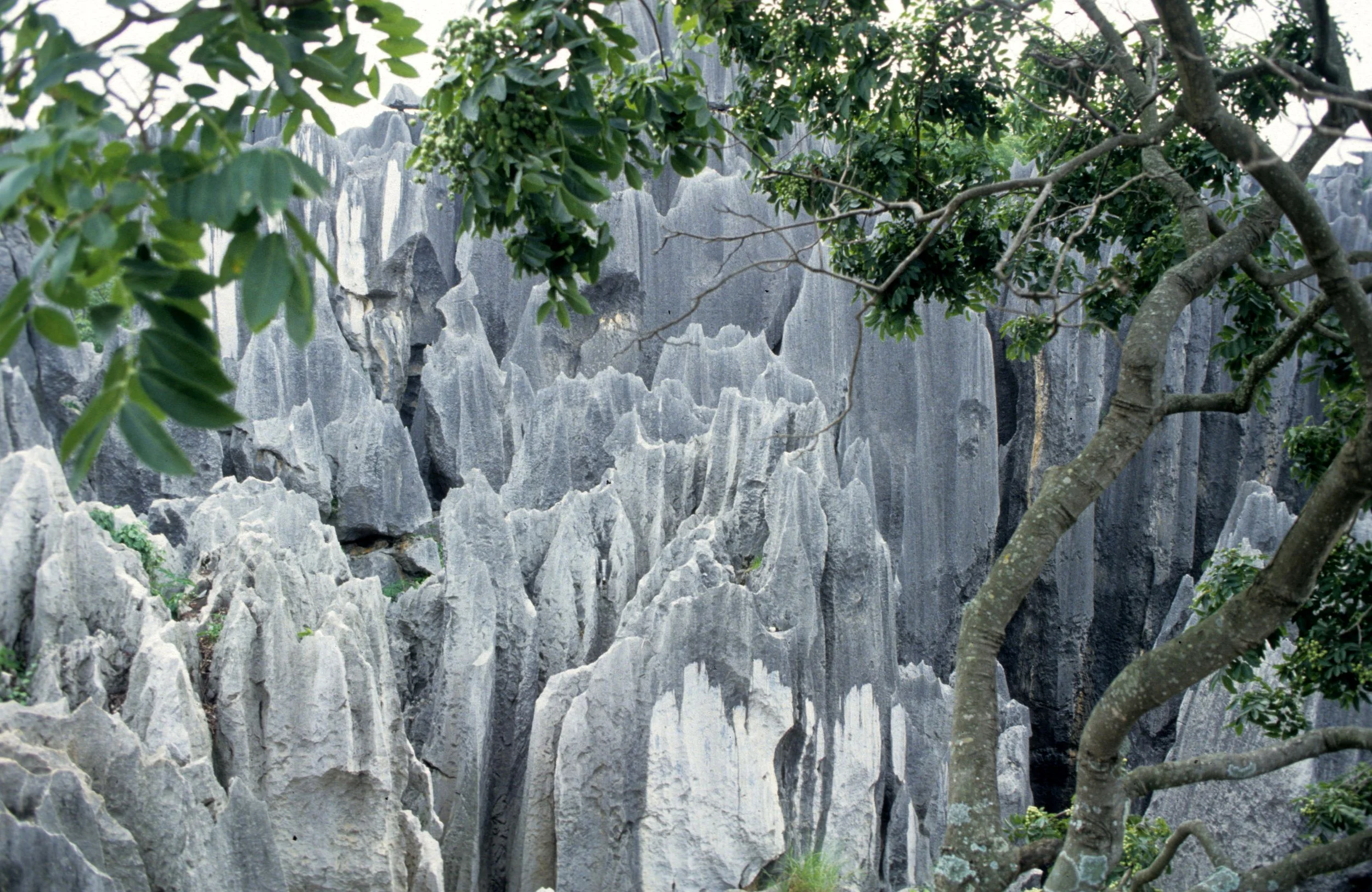 STONE FOREST - KUNMING CHINA (6).jpg