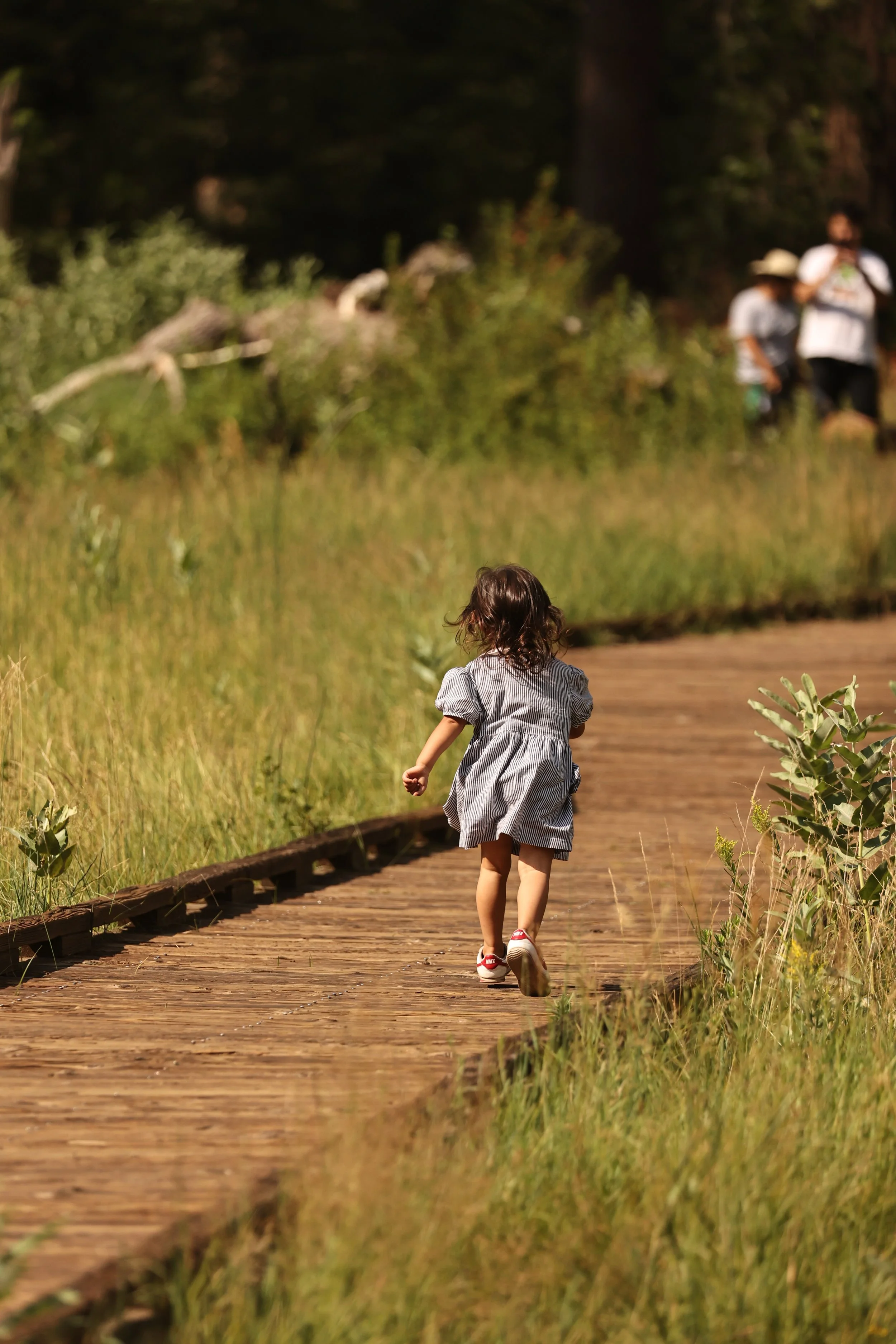 YOSEMITE NATIONAL PARK CALIFORNIA AUGUST 2022 (209).JPG