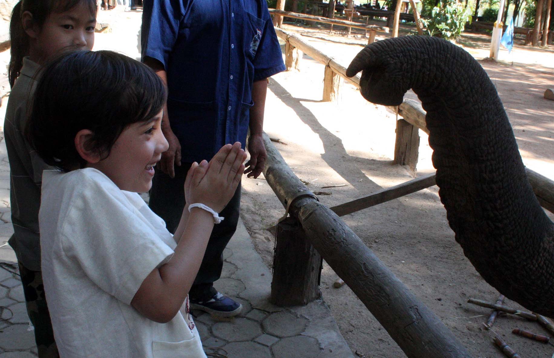 2008 Lampang City & Elephant Center (118).JPG