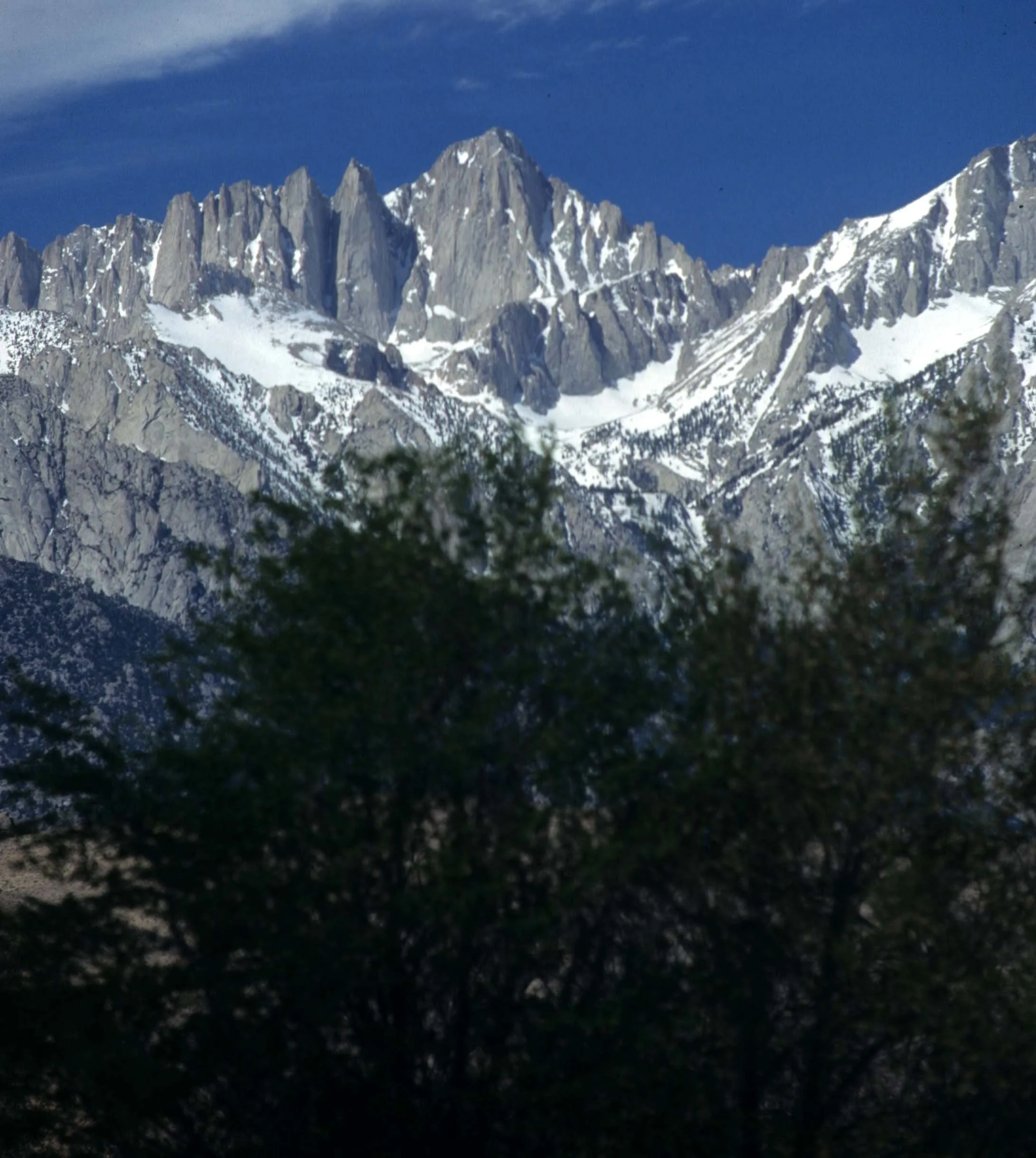 CALIFORNIA - SIERRA - MOUNT WHITNEY A.jpg