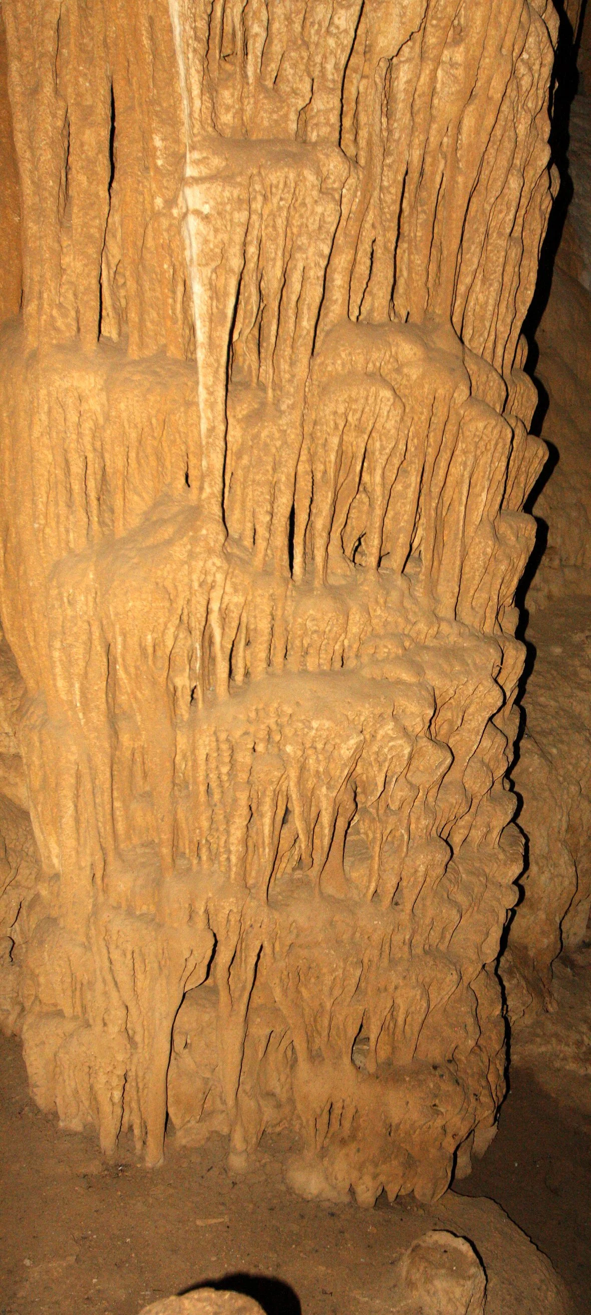 ANKARANA NATIONAL PARK MADAGASCAR - GIANT BAT CAVE (9).JPG