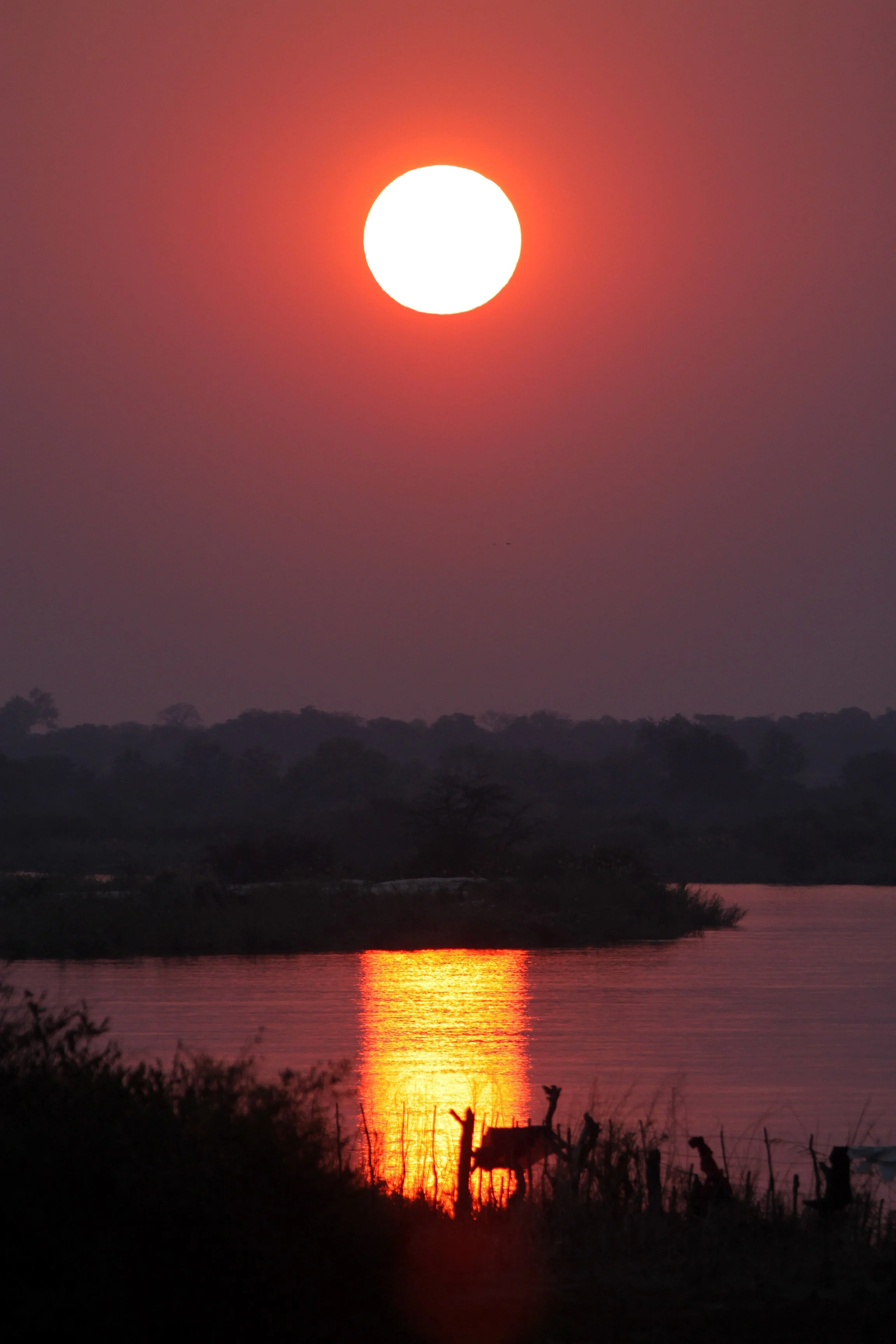 NAMIBIA - CAPRIVI STRIP - POPA FALLS SUNSET (4).JPG