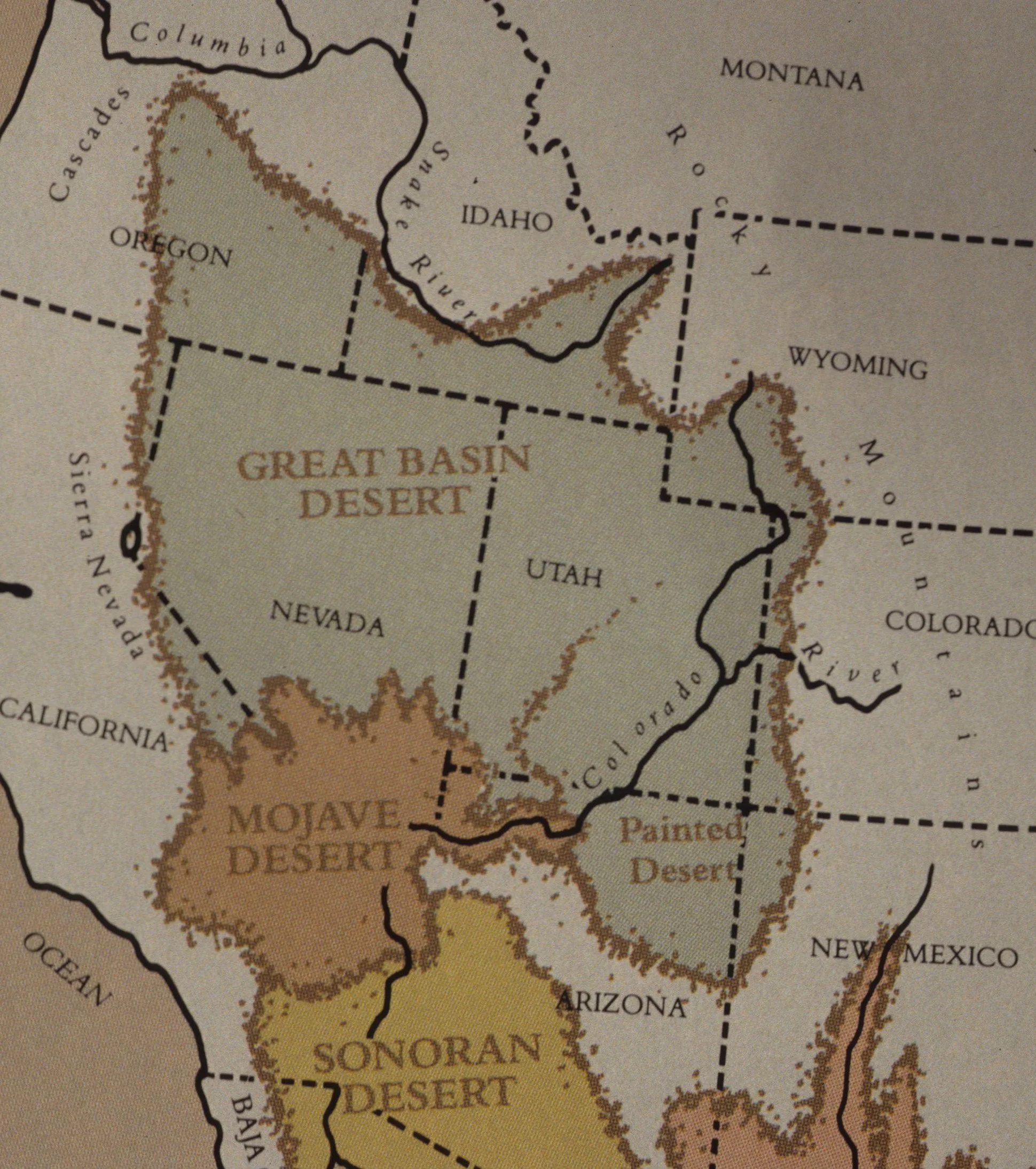 DESERT BIOMES IN NORTH AMERICA A.jpg