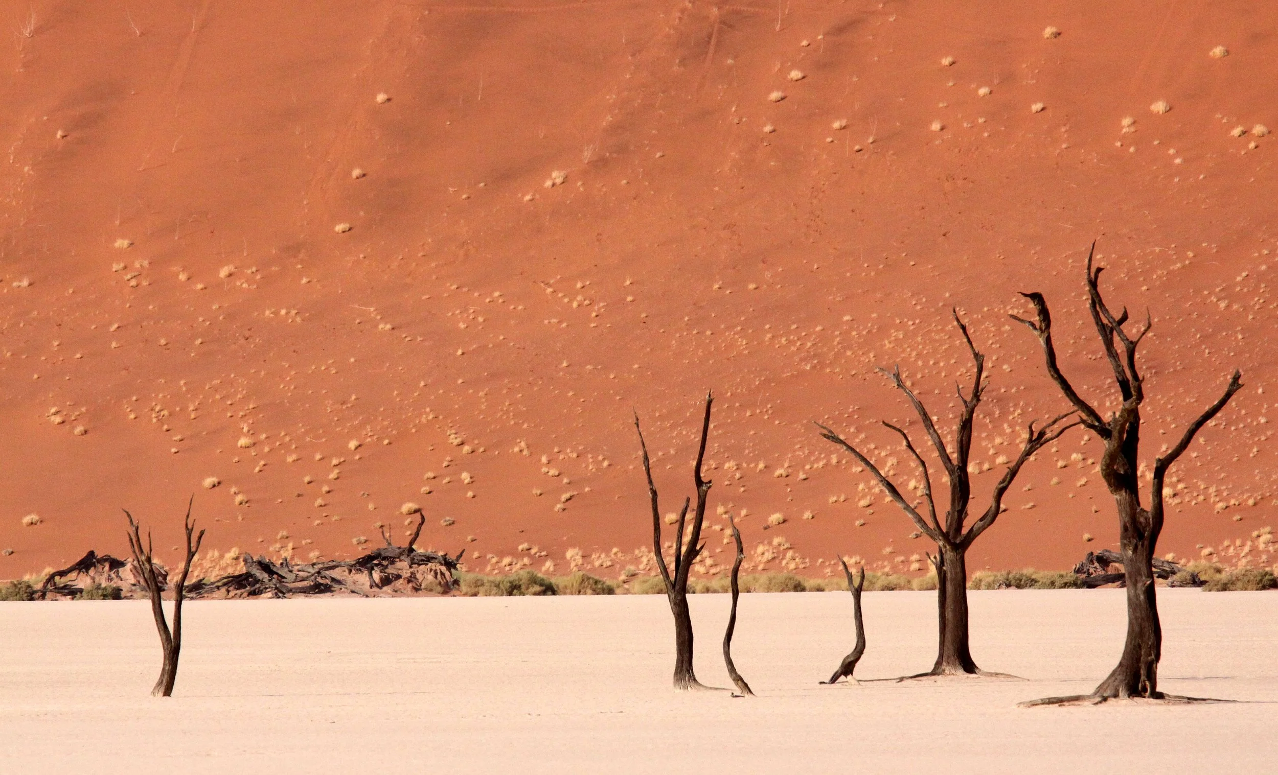 SOSSUSVLEI, NAMIB NAUKLUFT NATIONAL PARK, NAMIBIA - DEAD VLEI (63).JPG