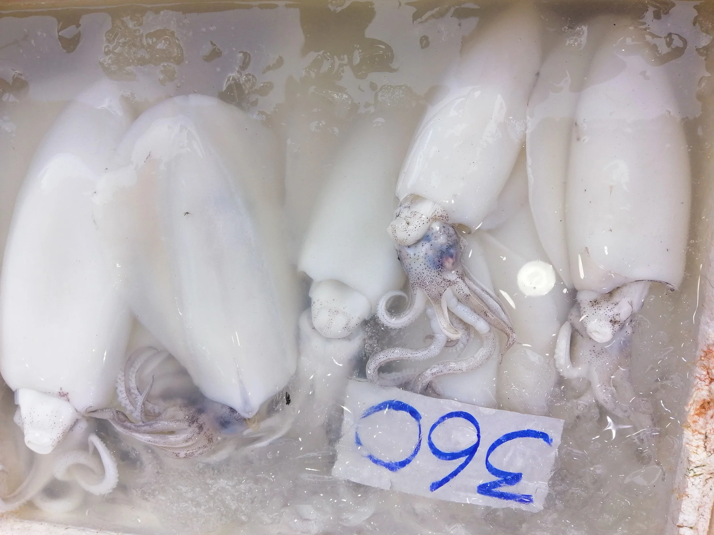 2018 Ayutthaya Pics with Gift in Traditional Dress (18).jpg