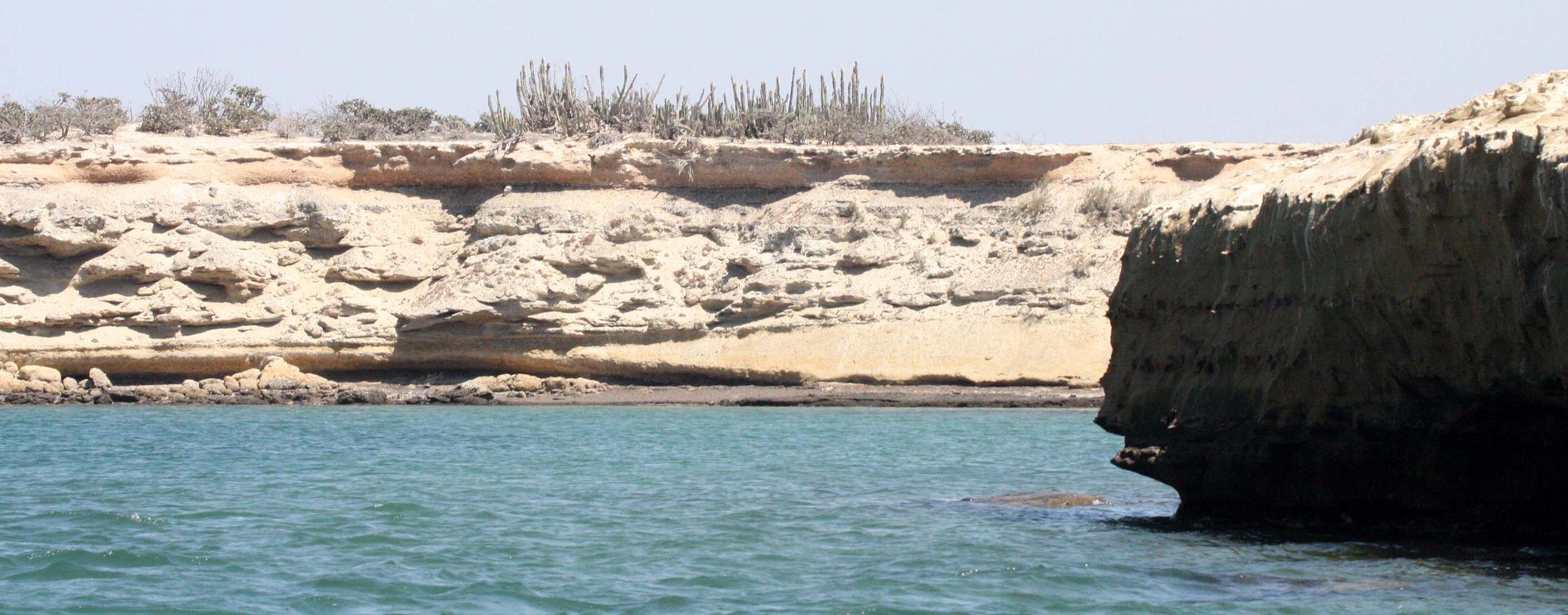 SAN IGNACIO LAGOON BAJA MEXICO - OSPREY ISLAND (2).JPG