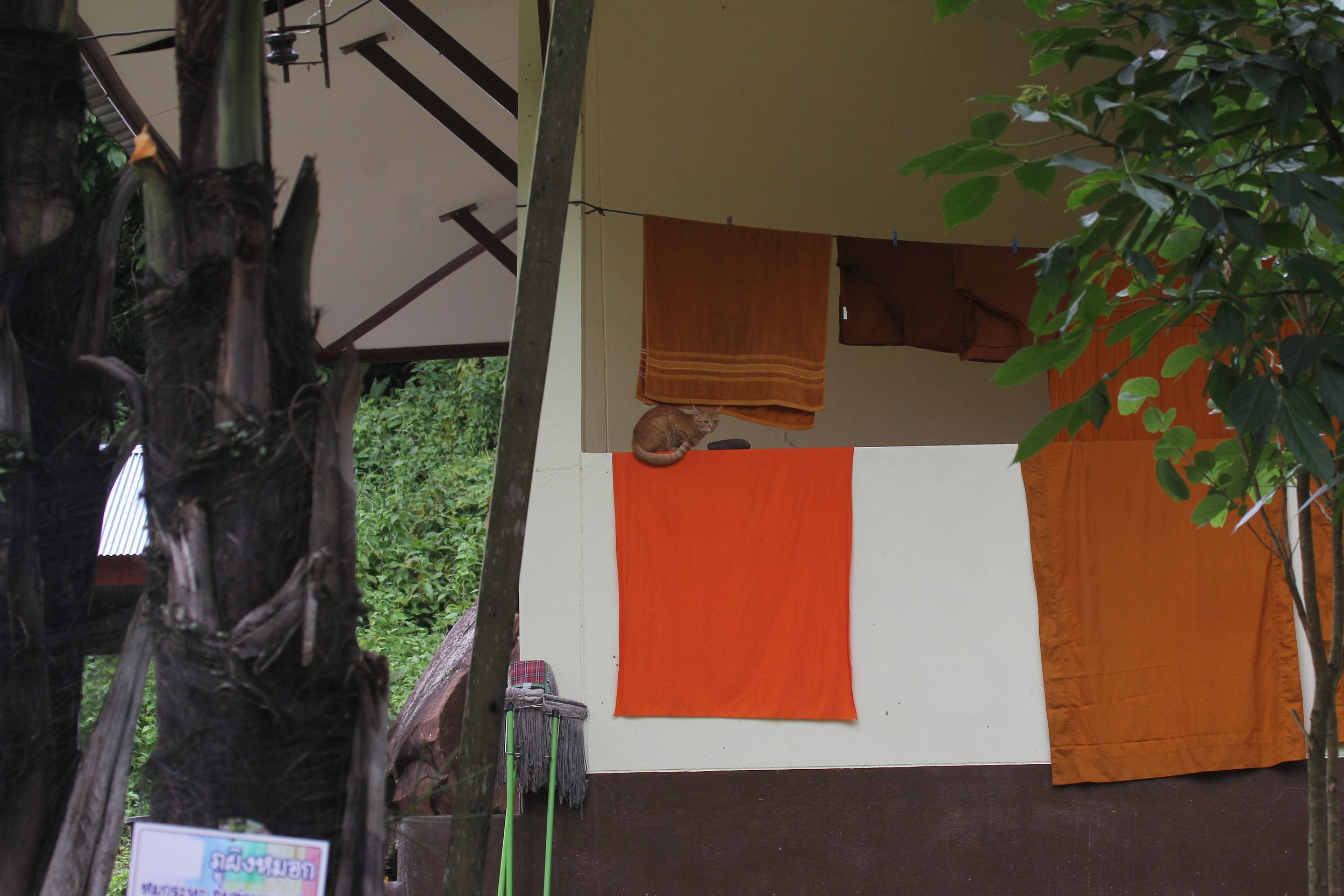 2020 4-5 July Wat Phrathat Beng Sakat North Thailand Tirp (75).JPG