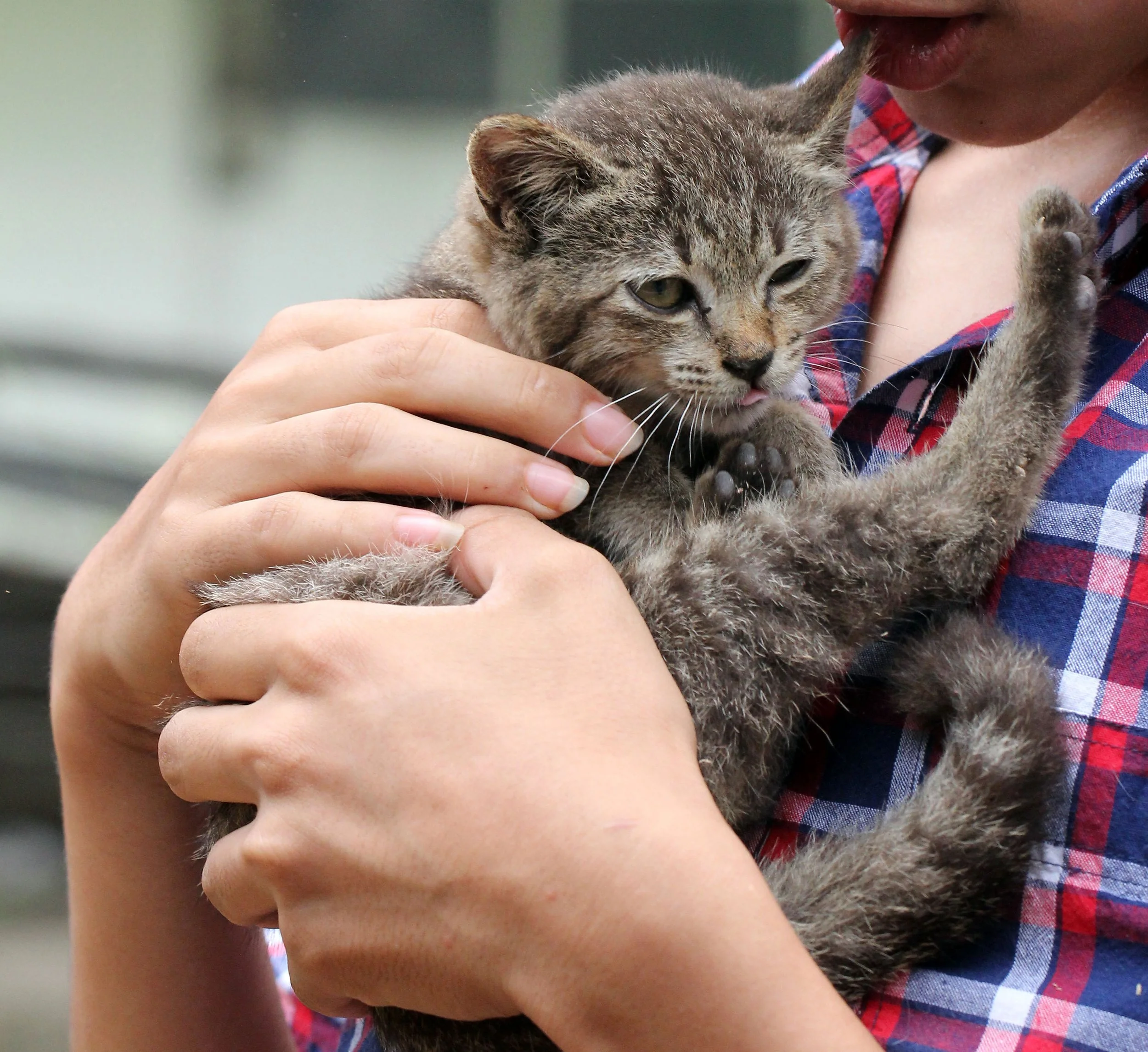 2015 Koh Lanta October Break Trip  (210).jpg