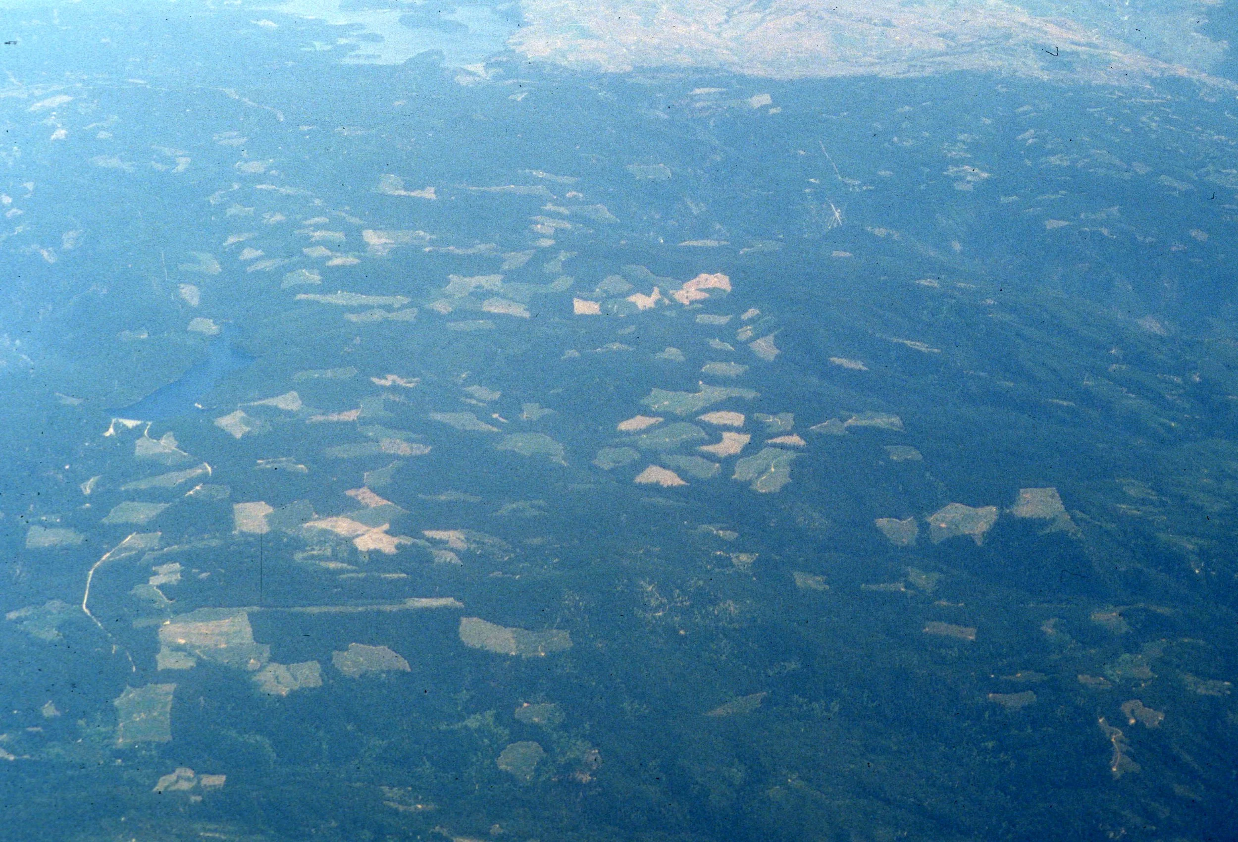 CALIFORNIA - SIERRA - DEFORESTAION CLEAR CUTS.jpg